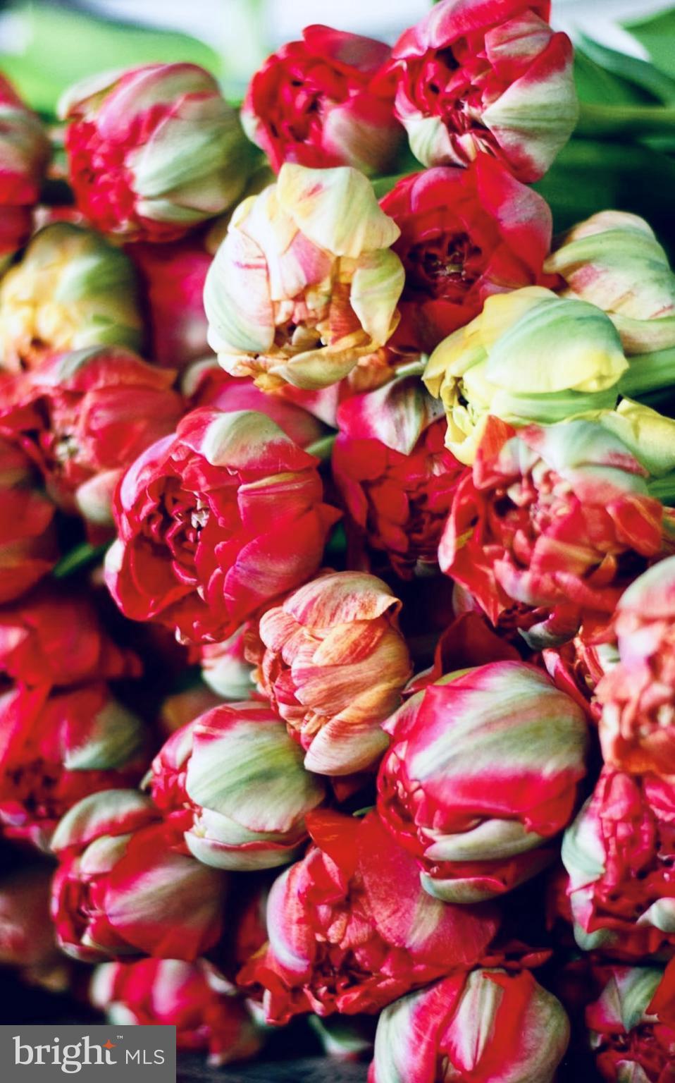 CEDAR RUN - Residential