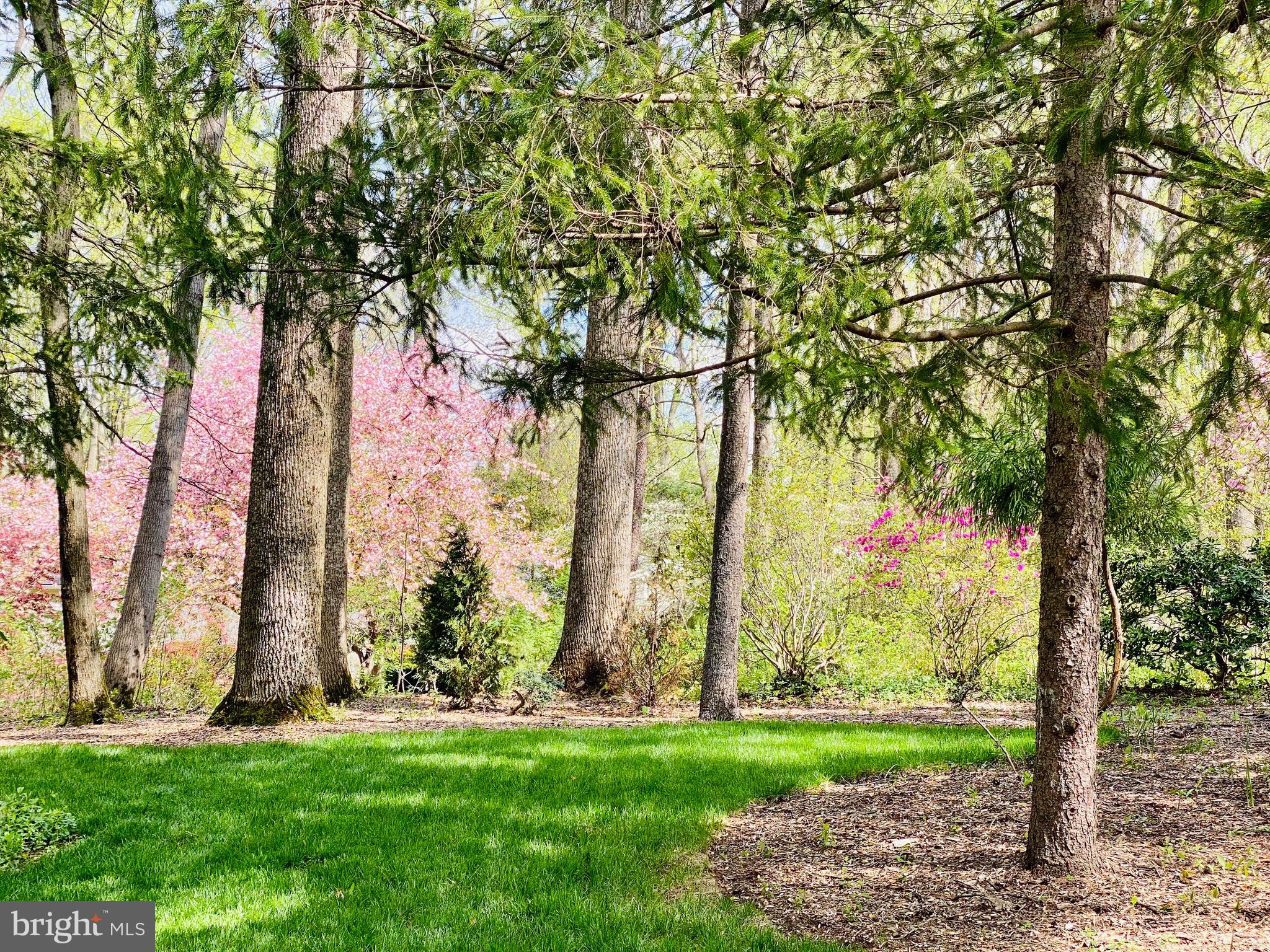 CEDAR RUN - Residential