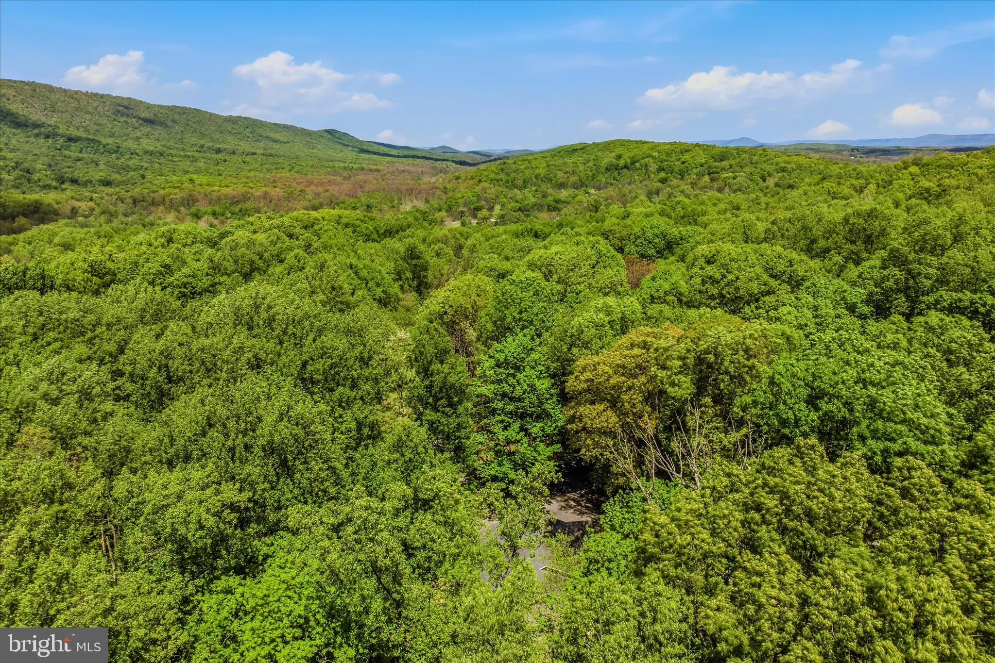 ROCK GAP WOODS - Residential