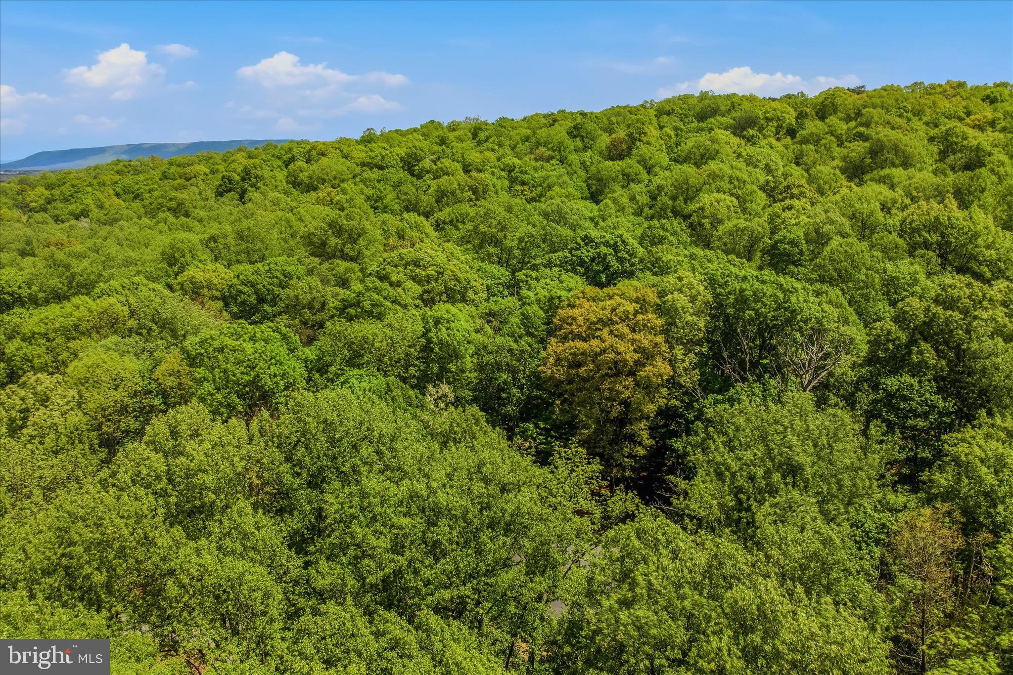 ROCK GAP WOODS - Residential