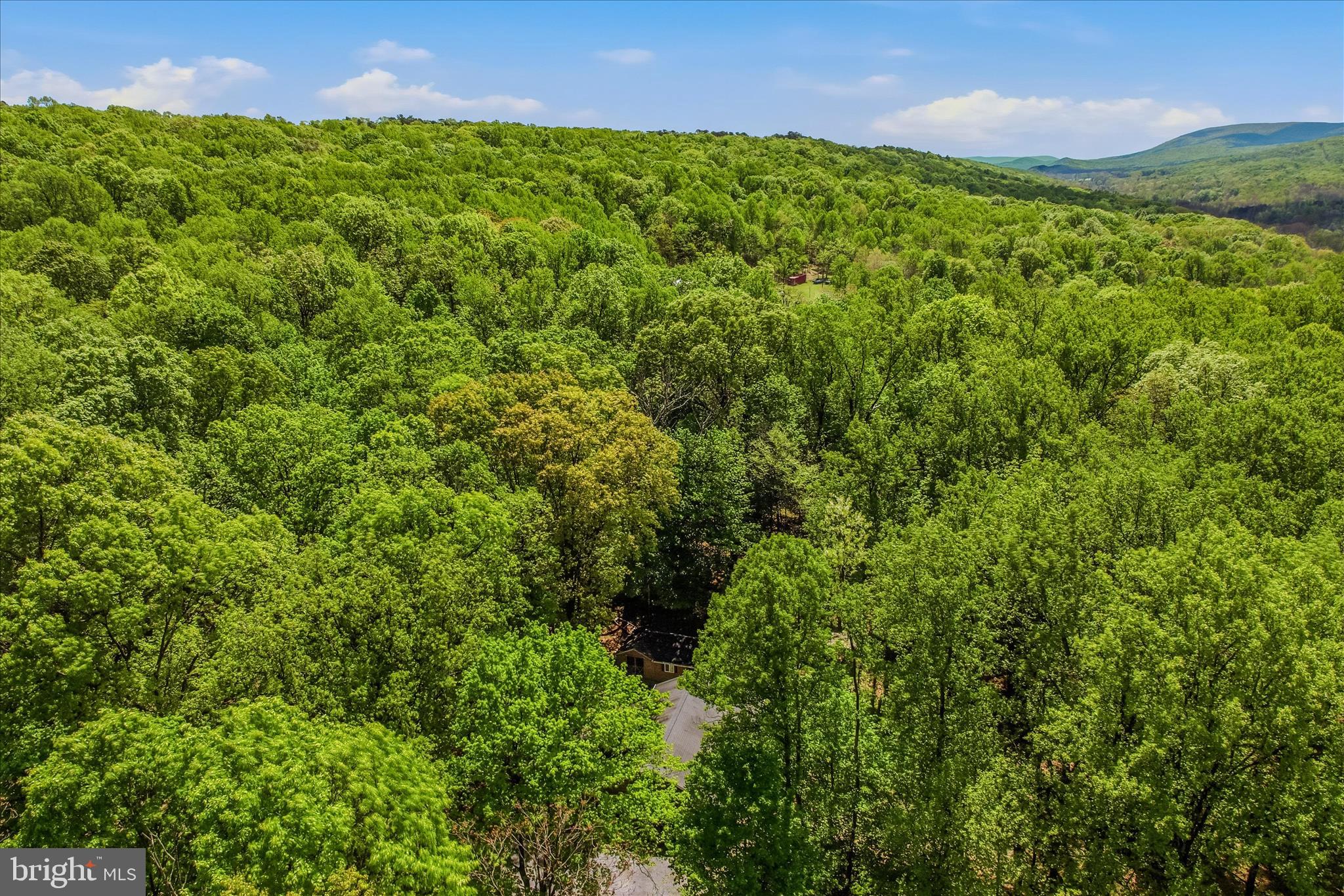 ROCK GAP WOODS - Residential