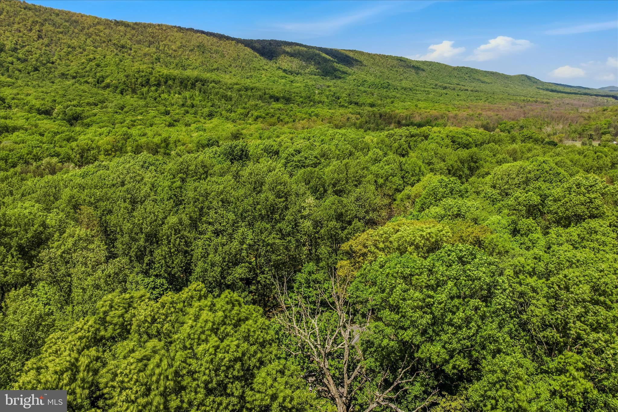 ROCK GAP WOODS - Residential