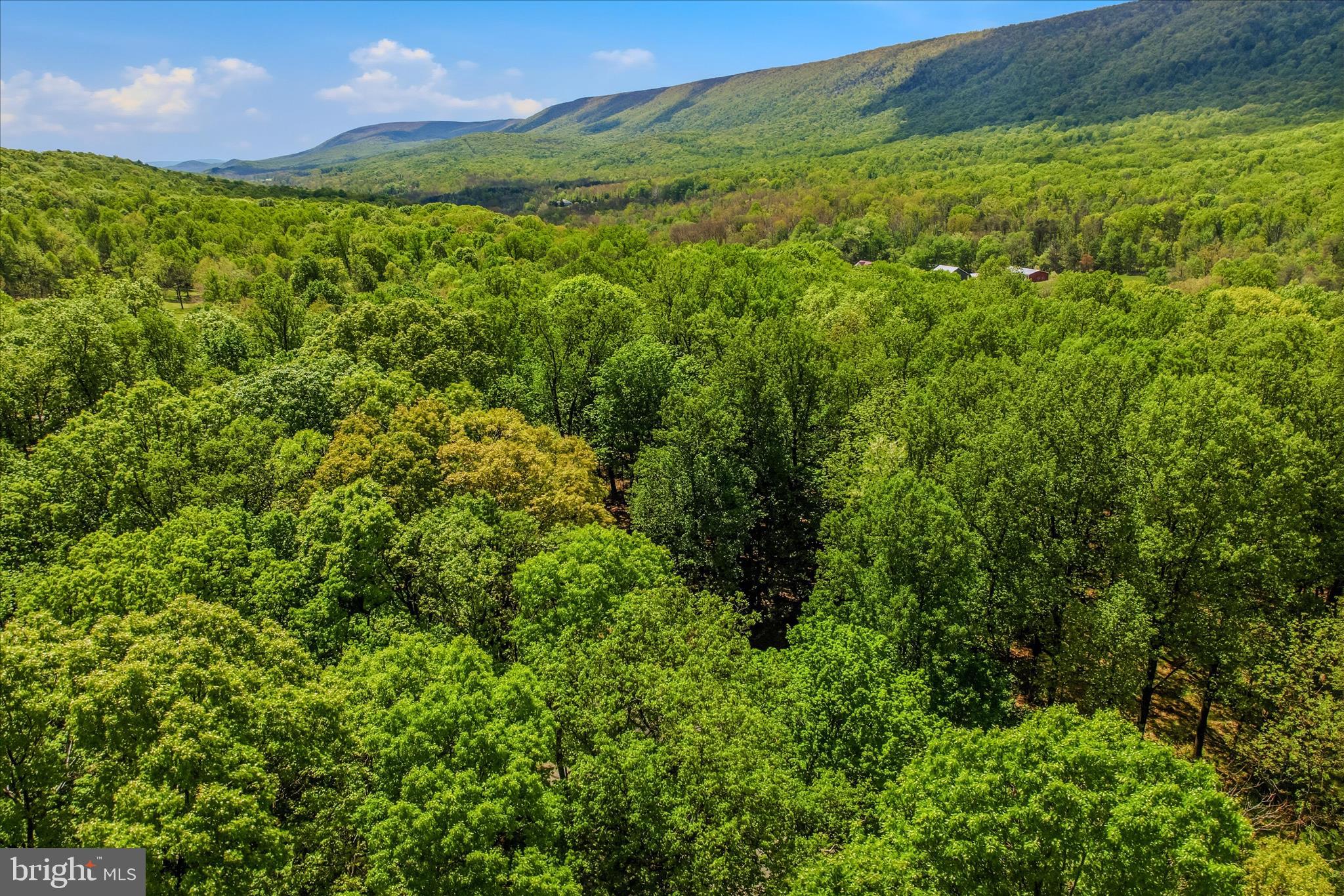ROCK GAP WOODS - Residential