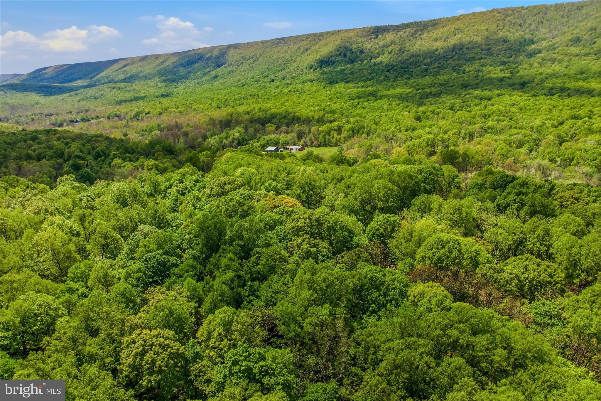 ROCK GAP WOODS - Residential