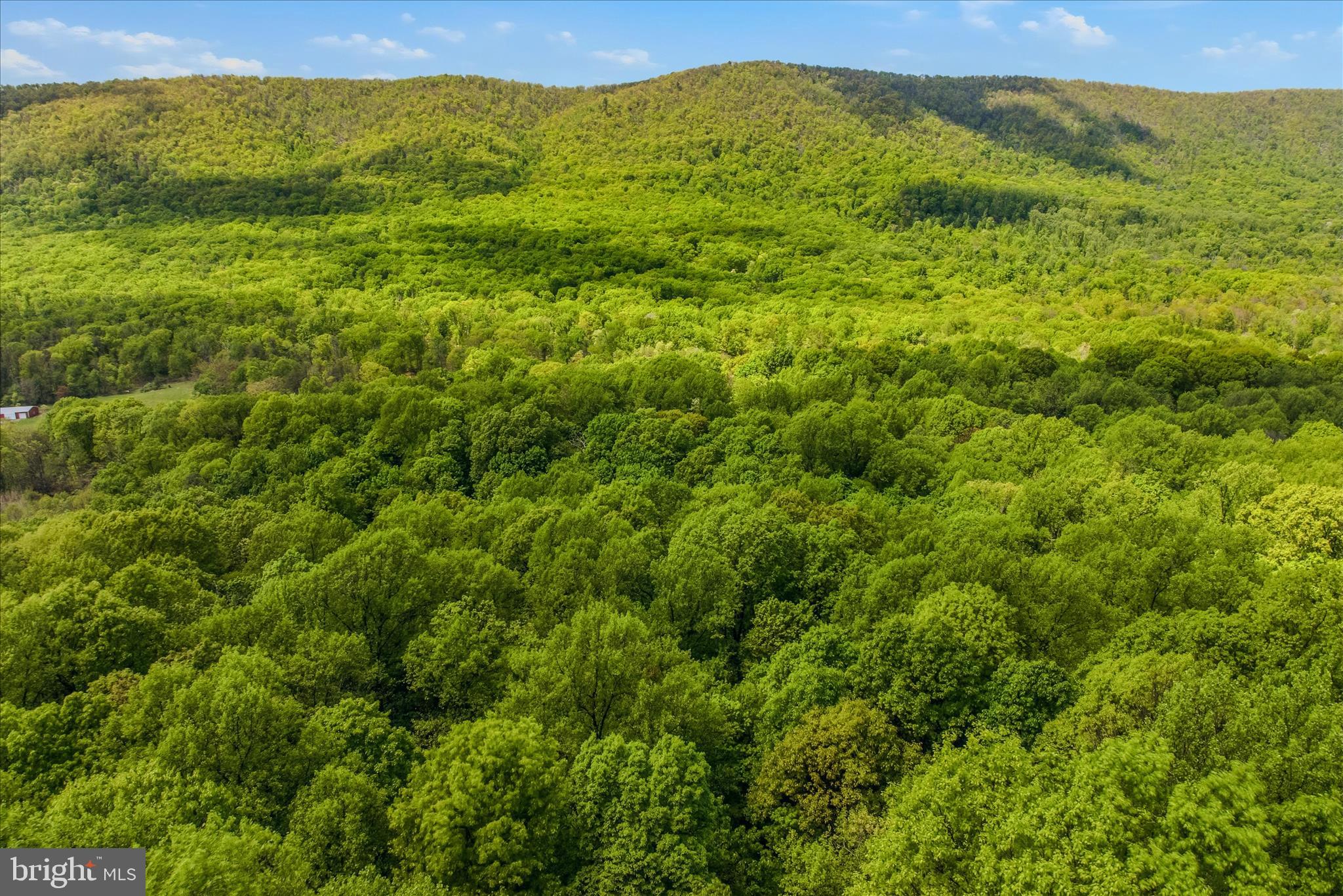ROCK GAP WOODS - Residential