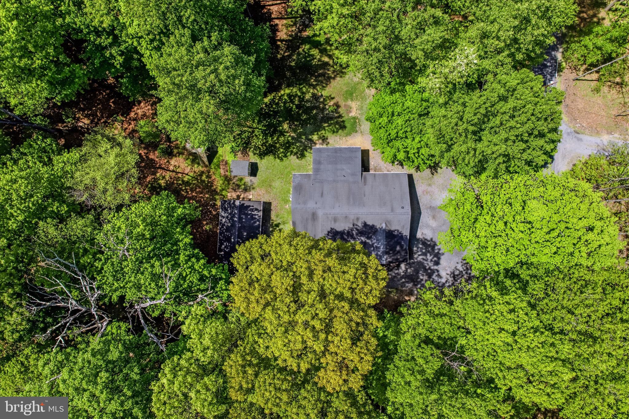 ROCK GAP WOODS - Residential
