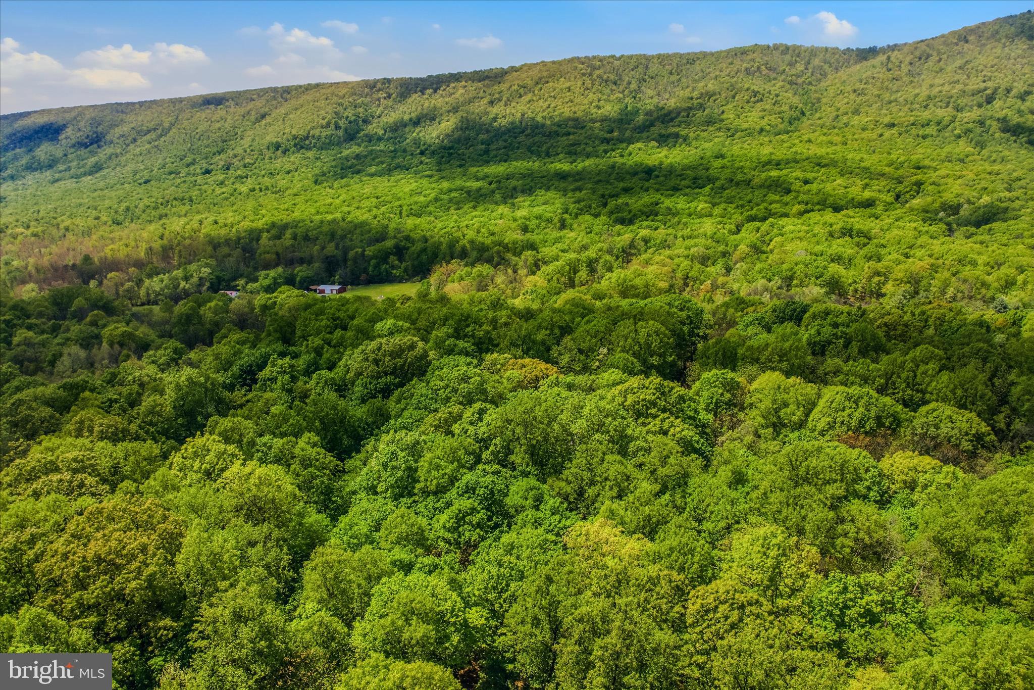 ROCK GAP WOODS - Residential
