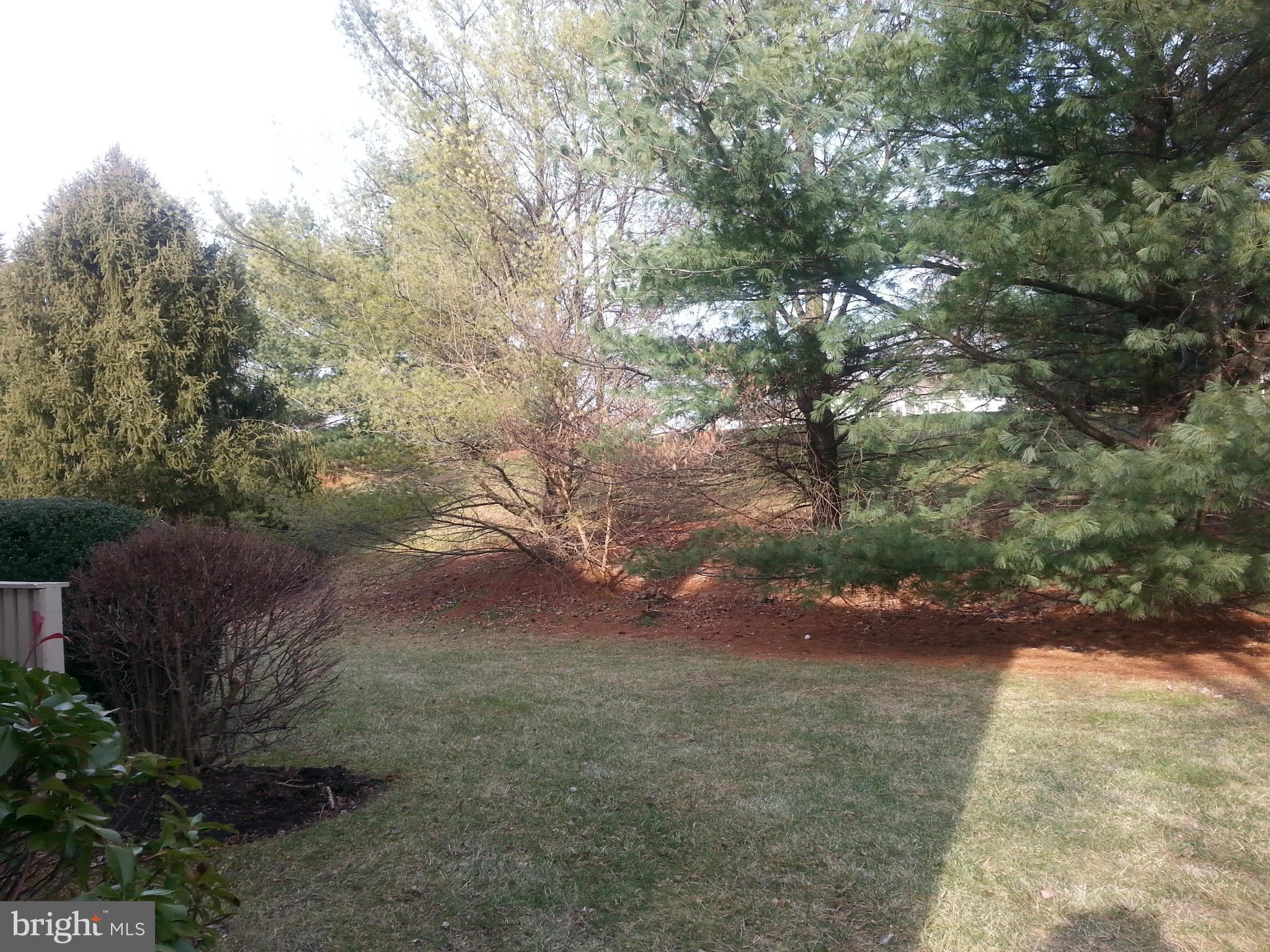 VILL AT MANCHESTER FARMS - Residential