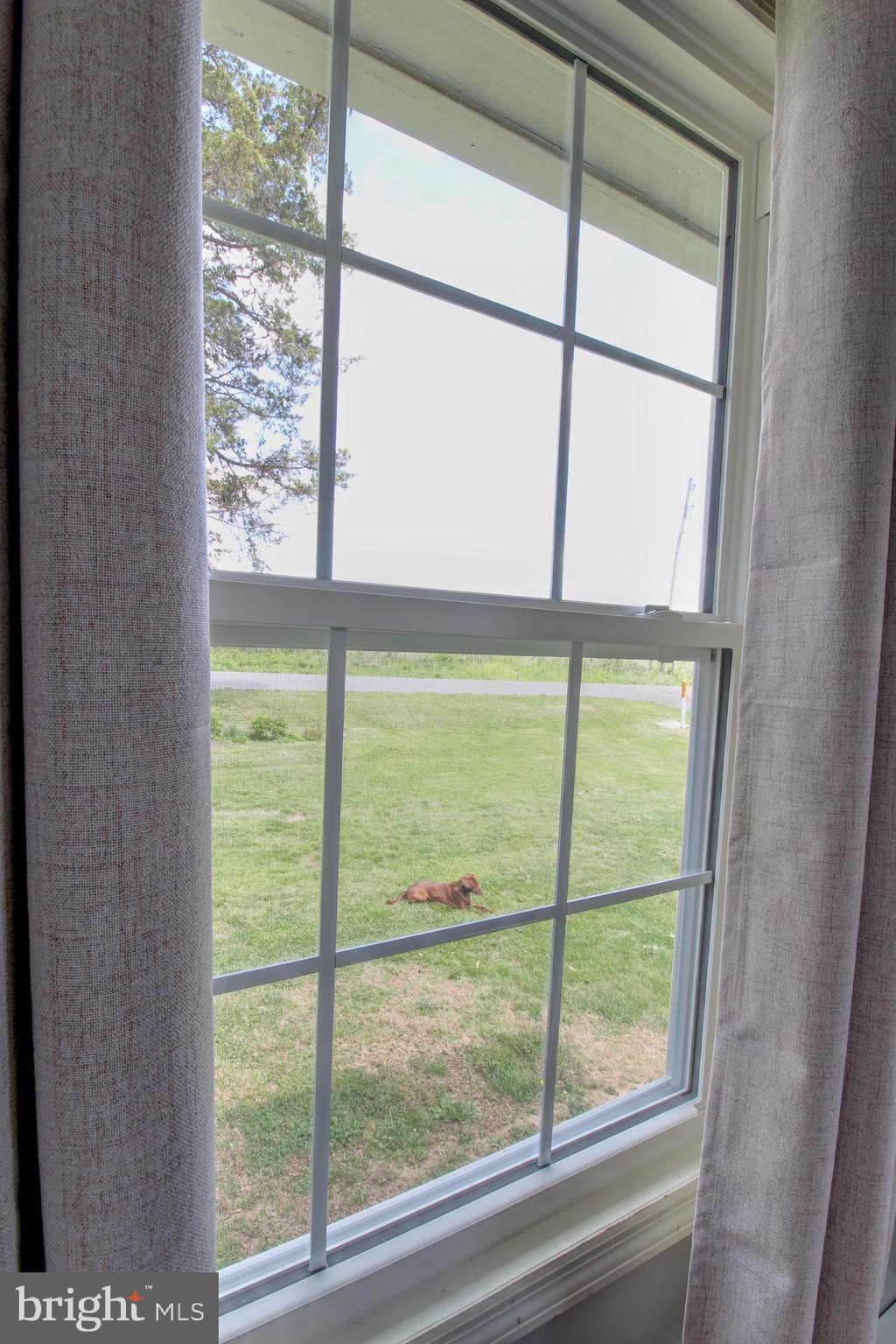 NEW MARKET - Residential