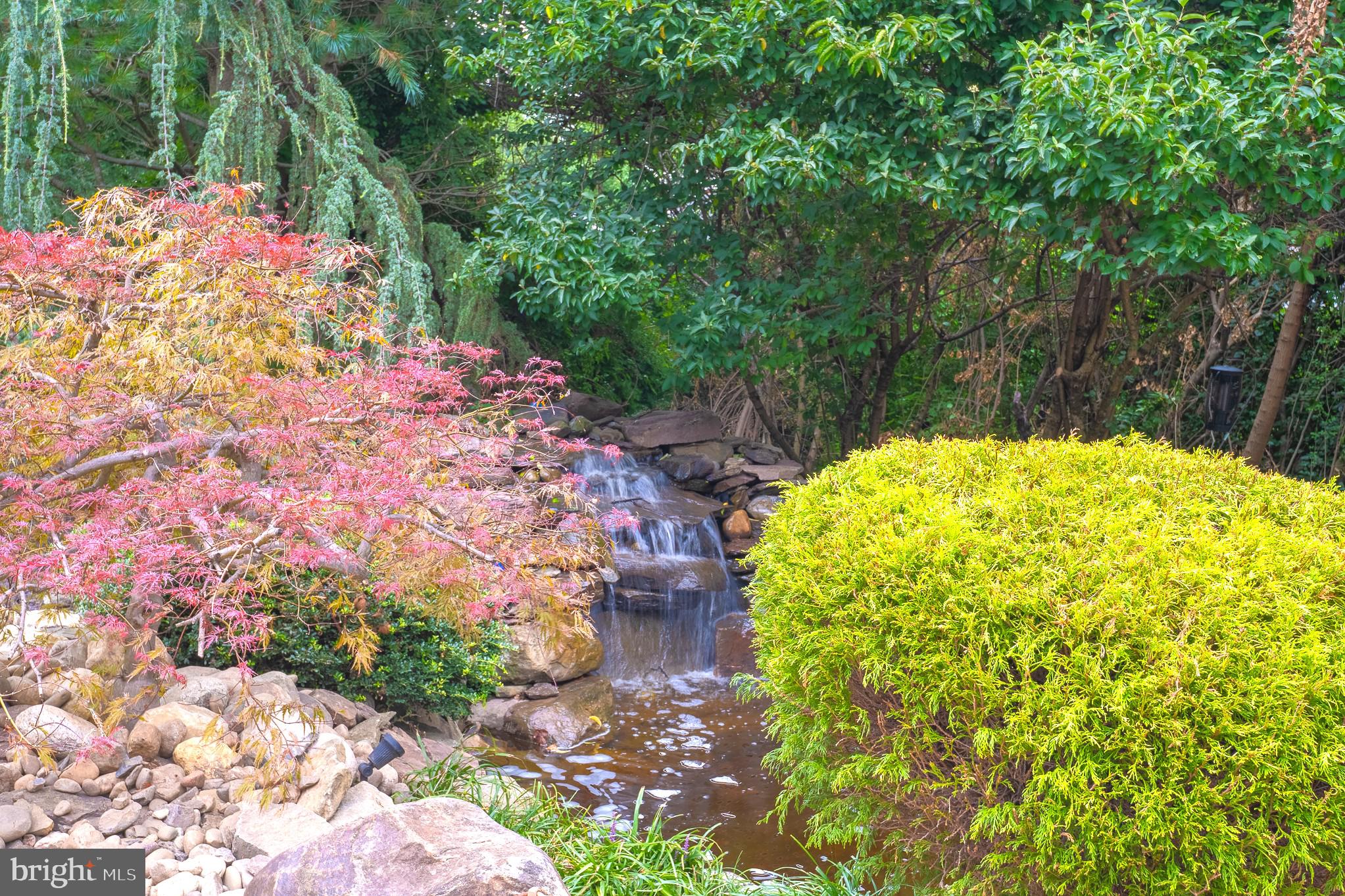 LONE OAK - Residential Lease