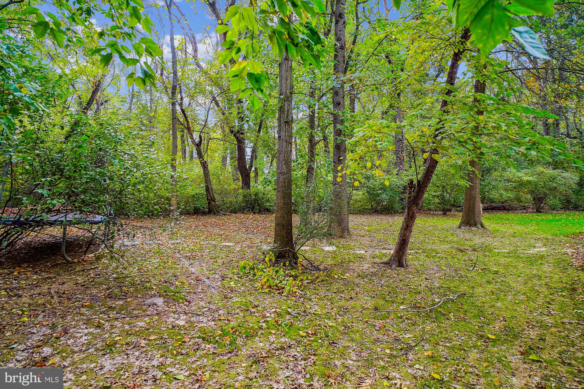 MILESTONE - Residential