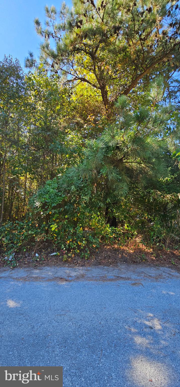 Lot 6 THELMA COURT
