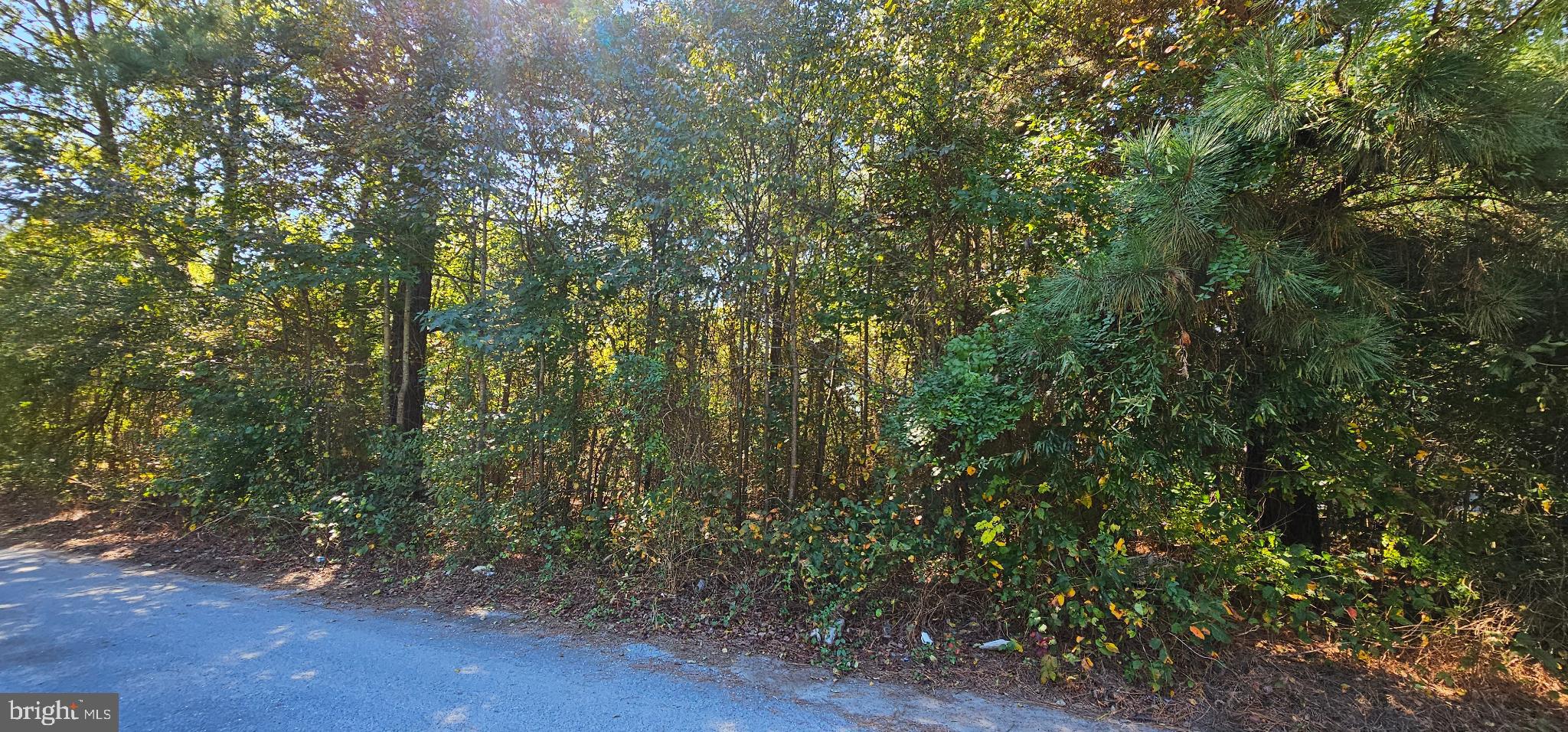 Lot 6 THELMA COURT