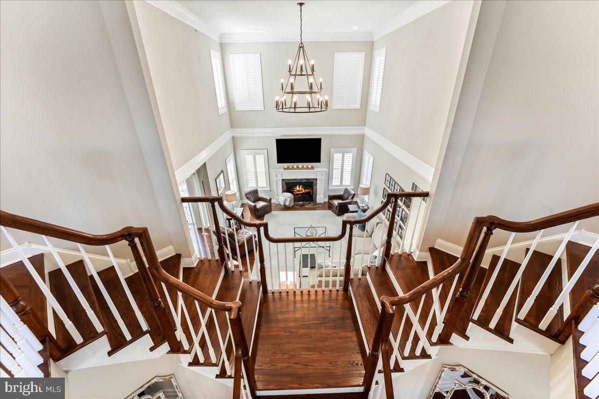 LISETER - Residential