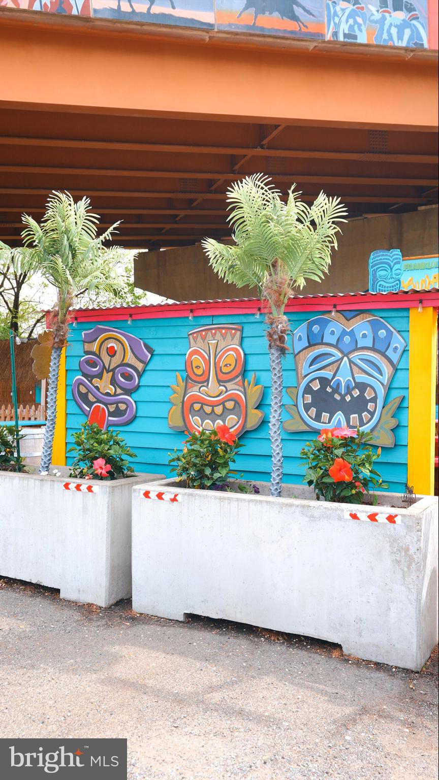 MT RAINIER - Residential