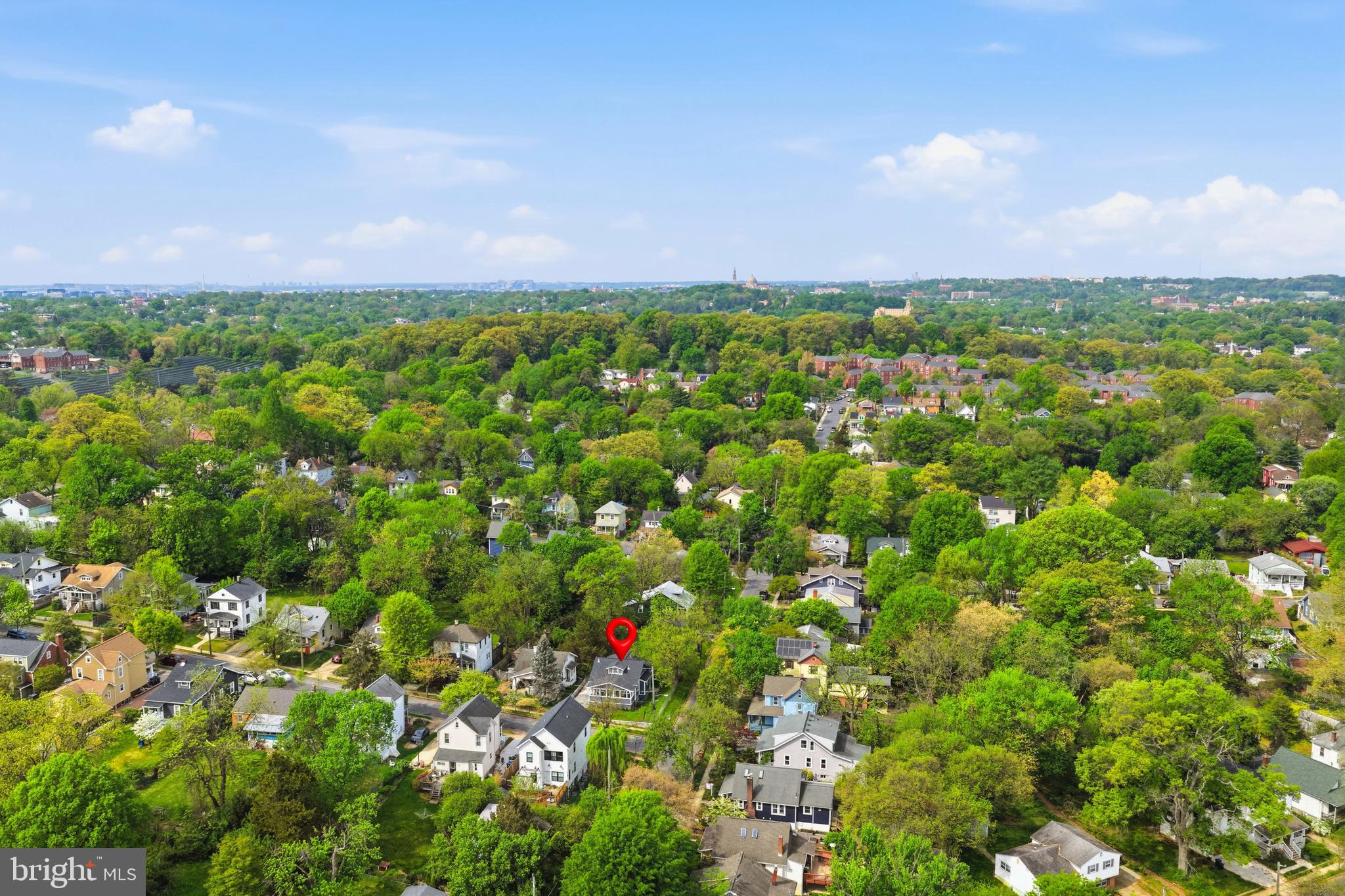 MT RAINIER - Residential