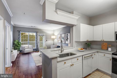 4560 STRUTFIELD LANE 1110 ALEXANDRIA VA 22311