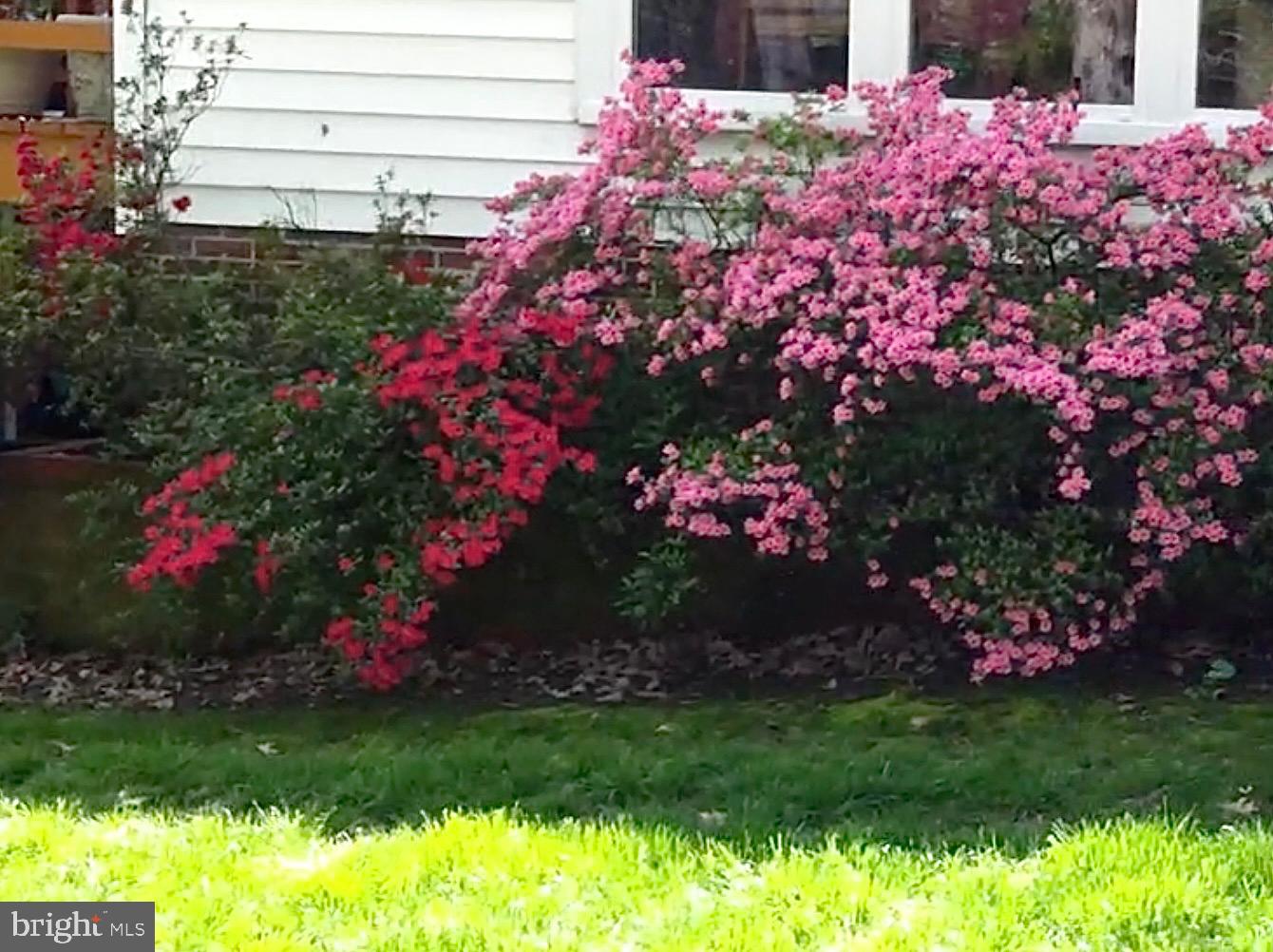 LINCOLNIA HILLS - Residential