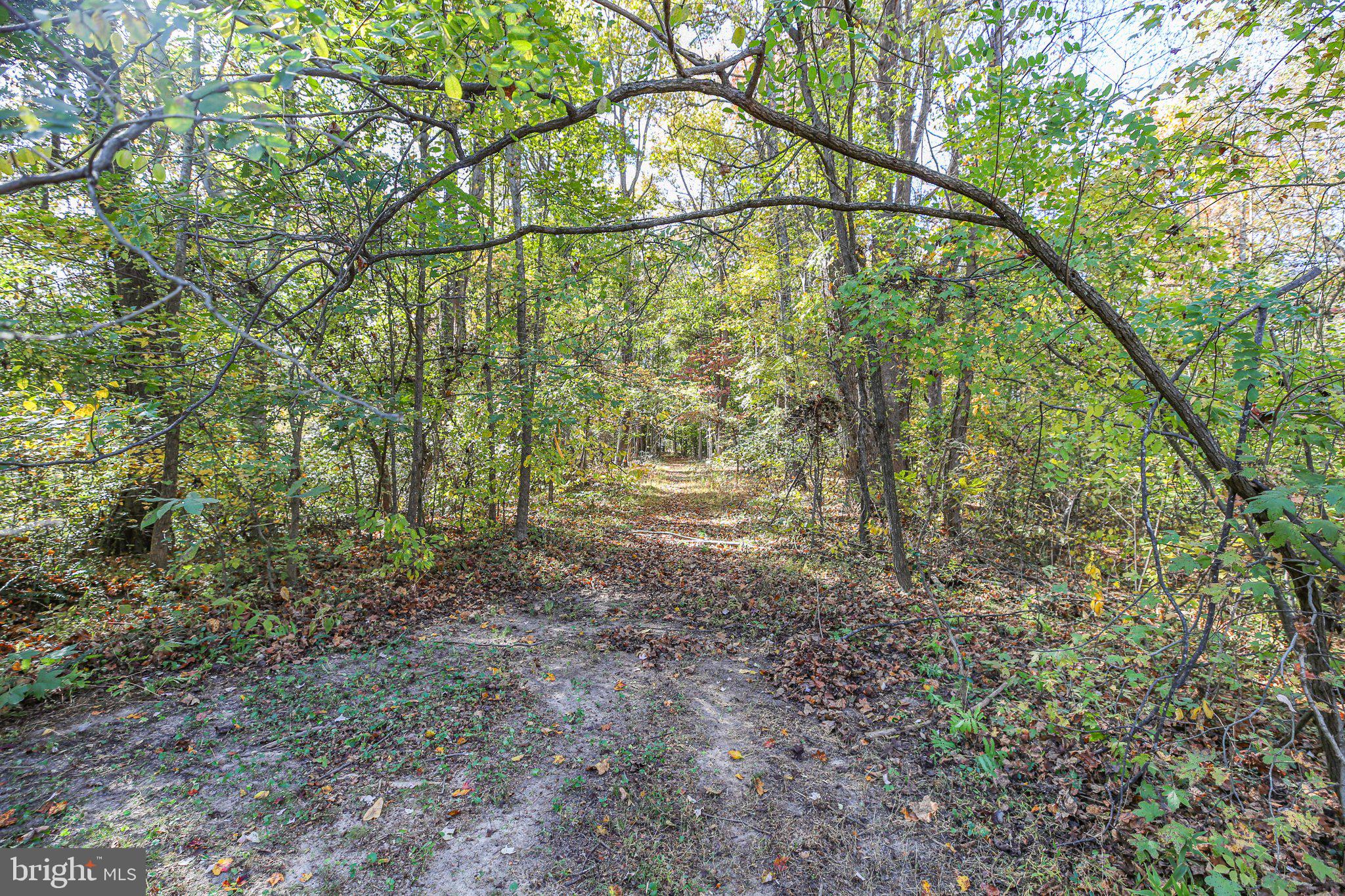 POTOMAC CREEK ESTATES - Residential