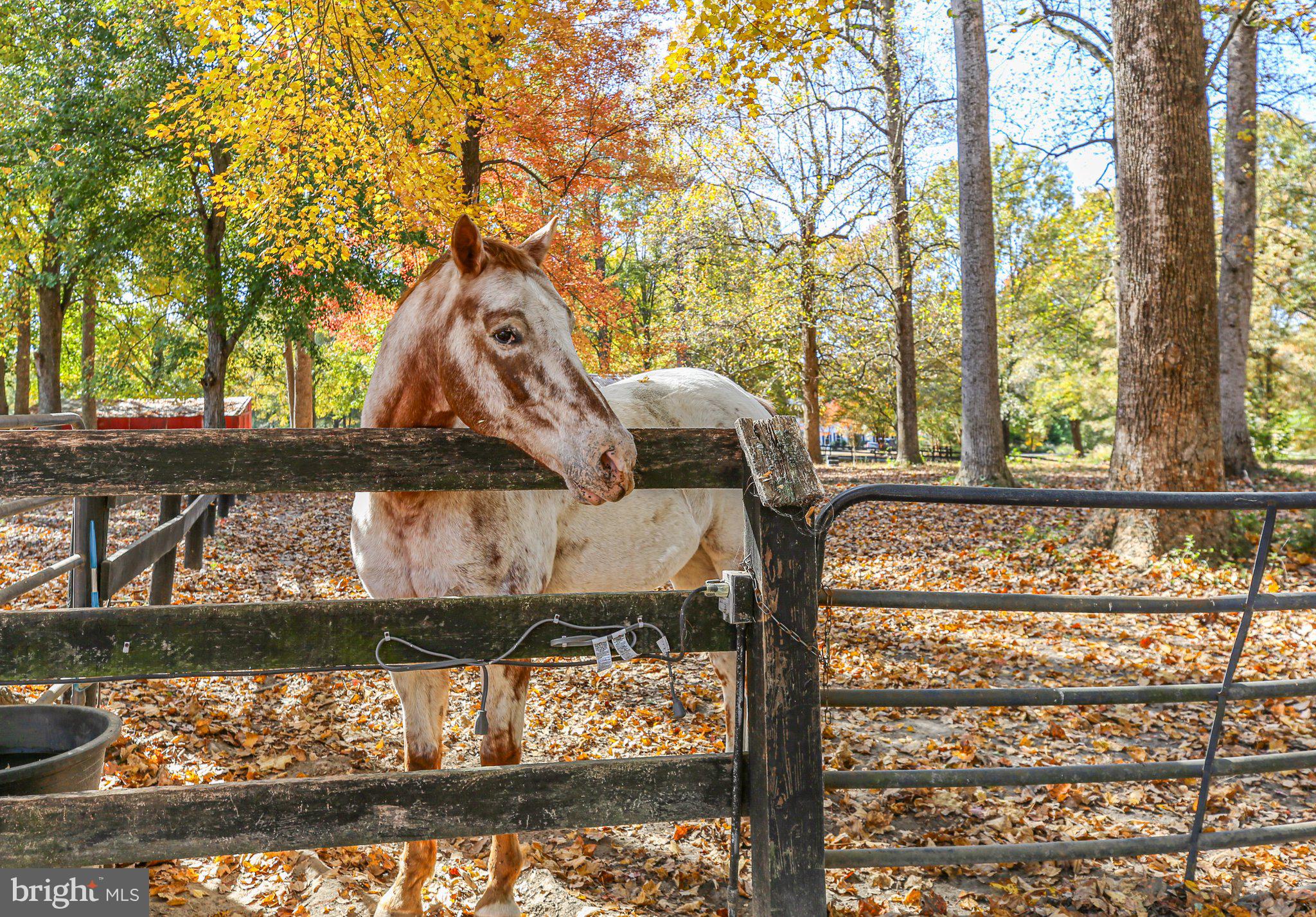 POTOMAC CREEK ESTATES - Residential