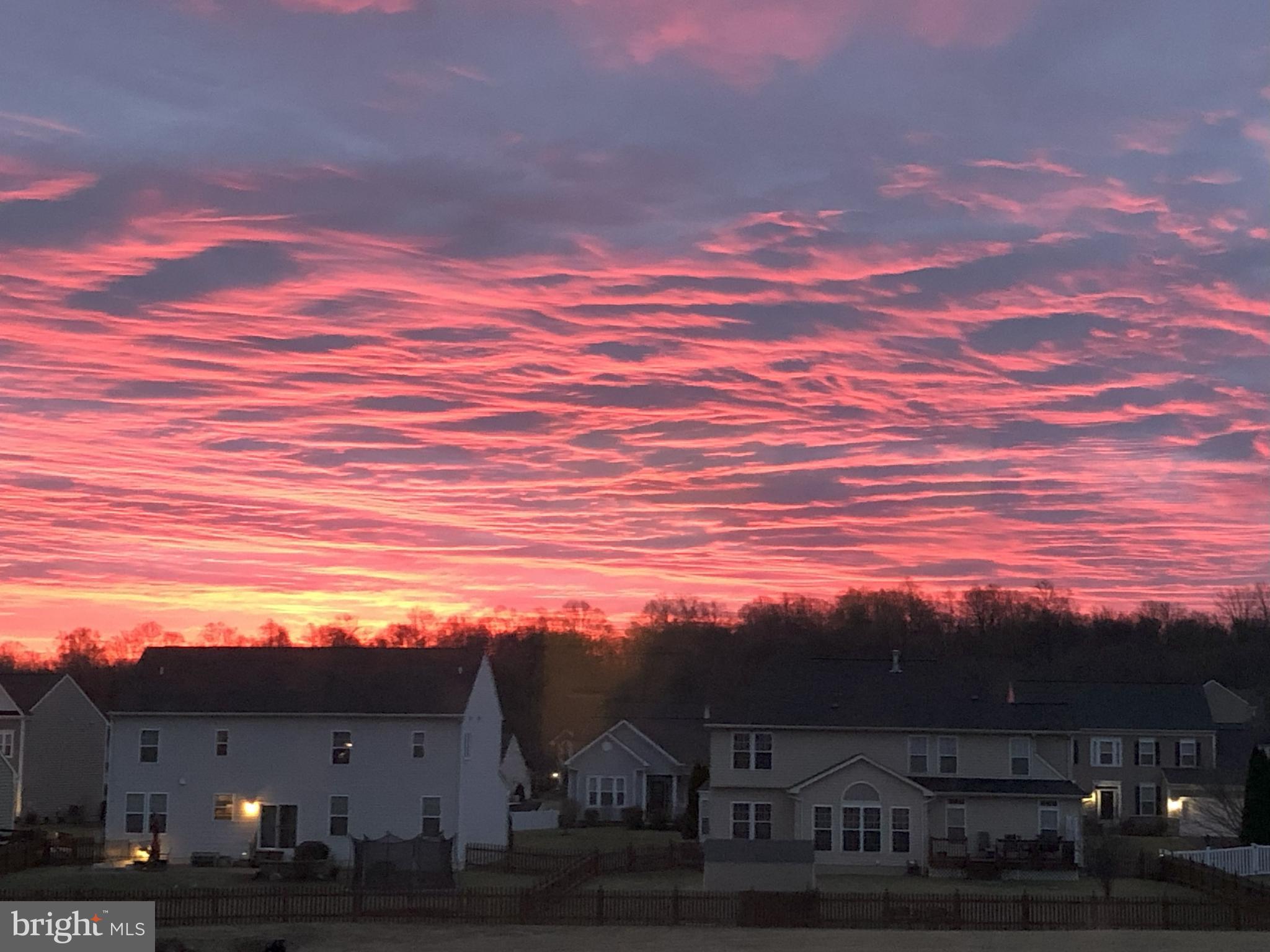SPRINGDALE FARM - Residential