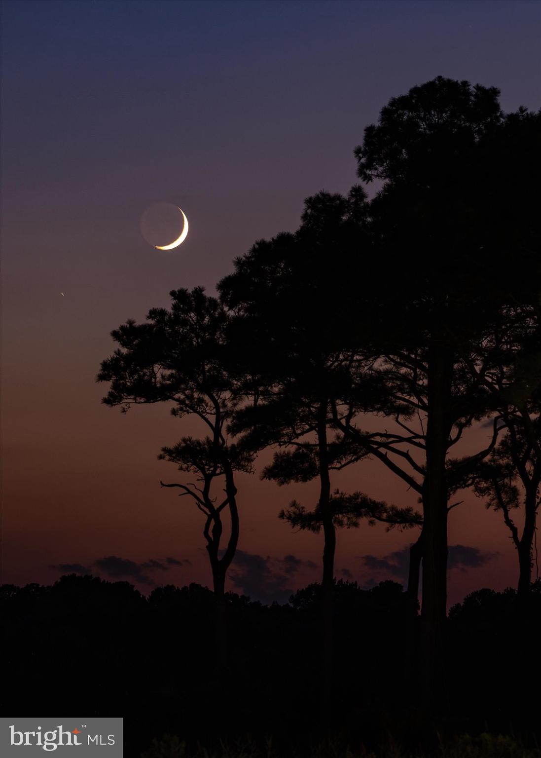 OCEAN REEF - Residential