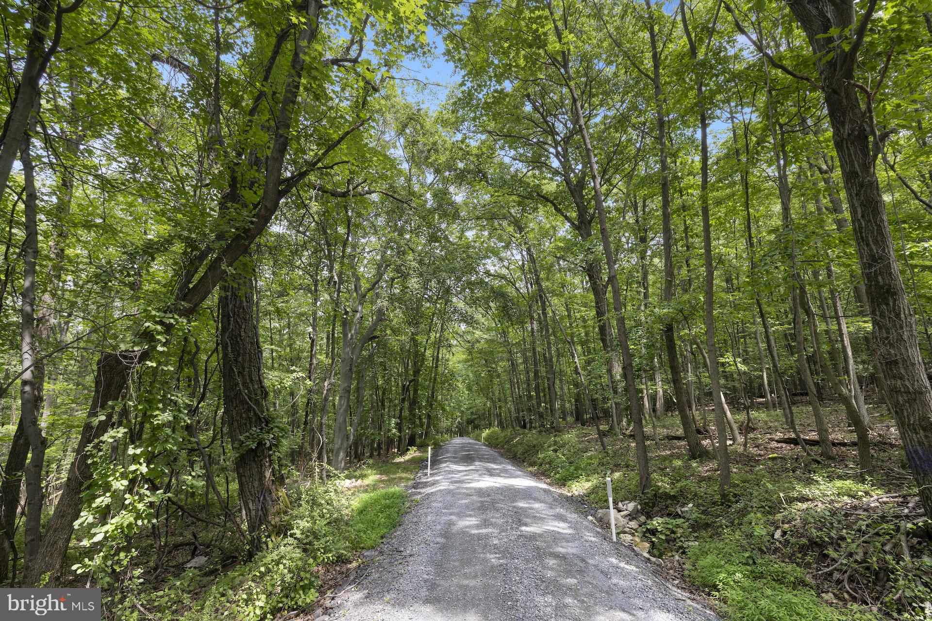 100 RIDGE ROAD