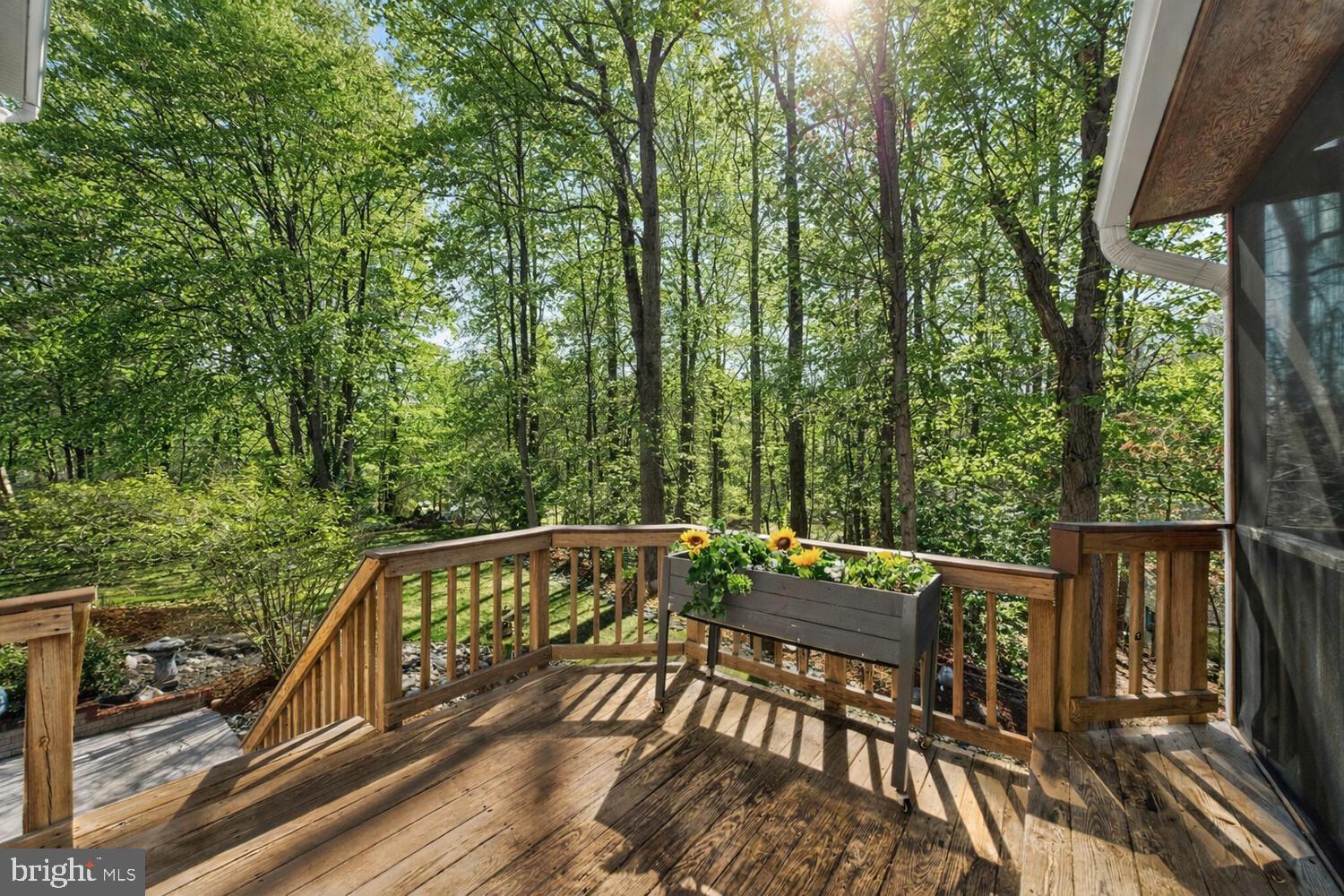 DONEGAL OAKS - Residential