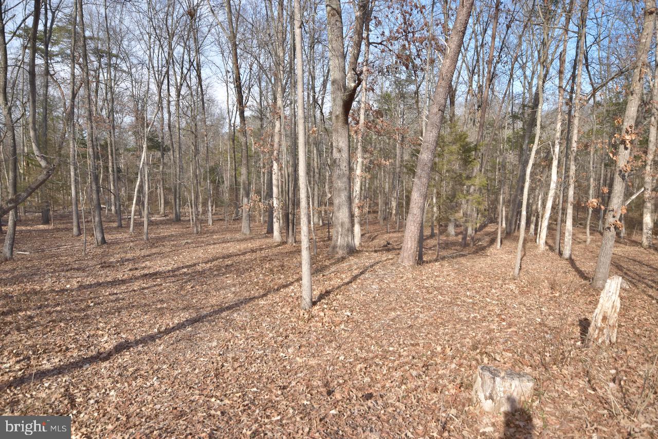 WOODLAWN FARMS - Residential