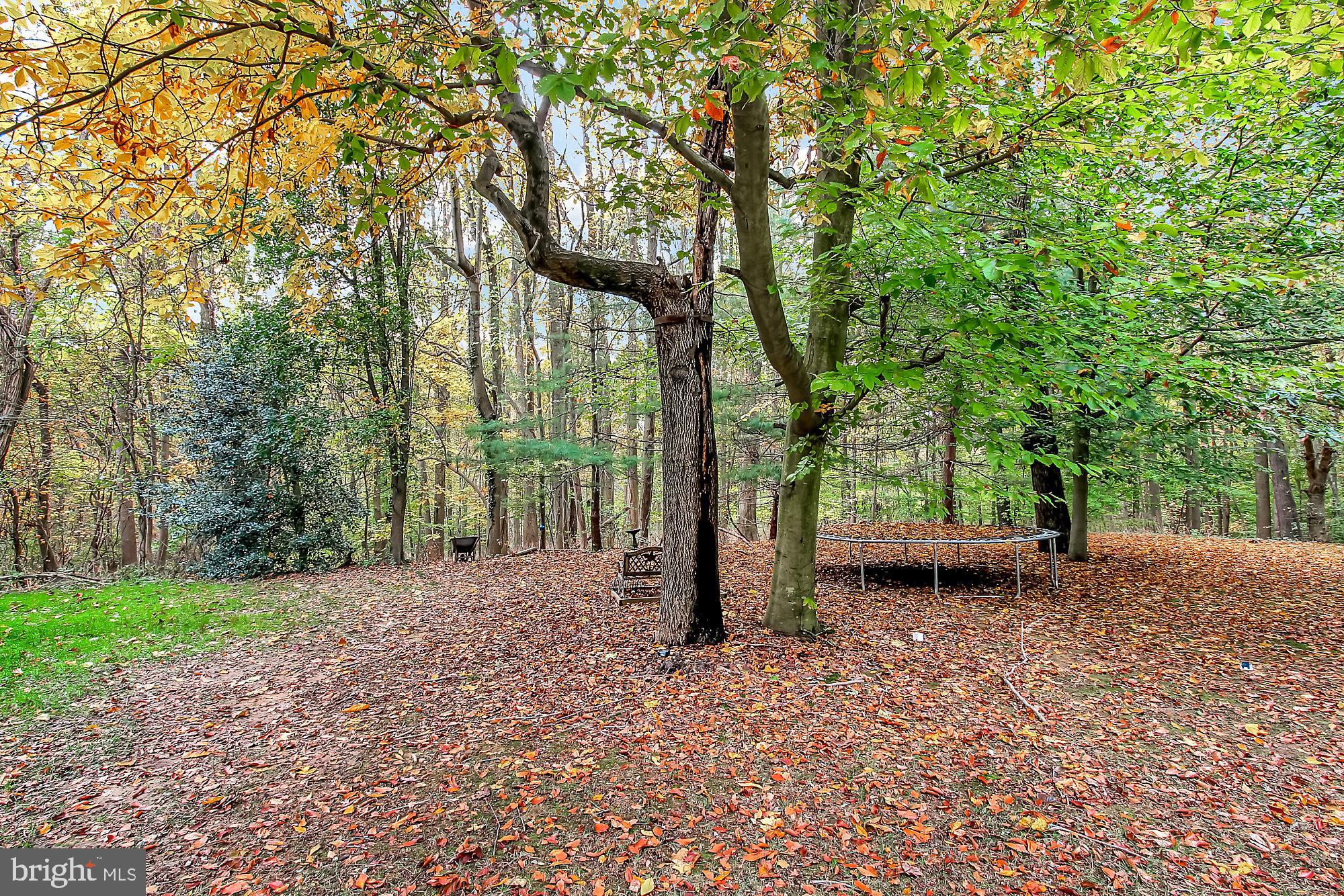 WHITE OAK - Residential