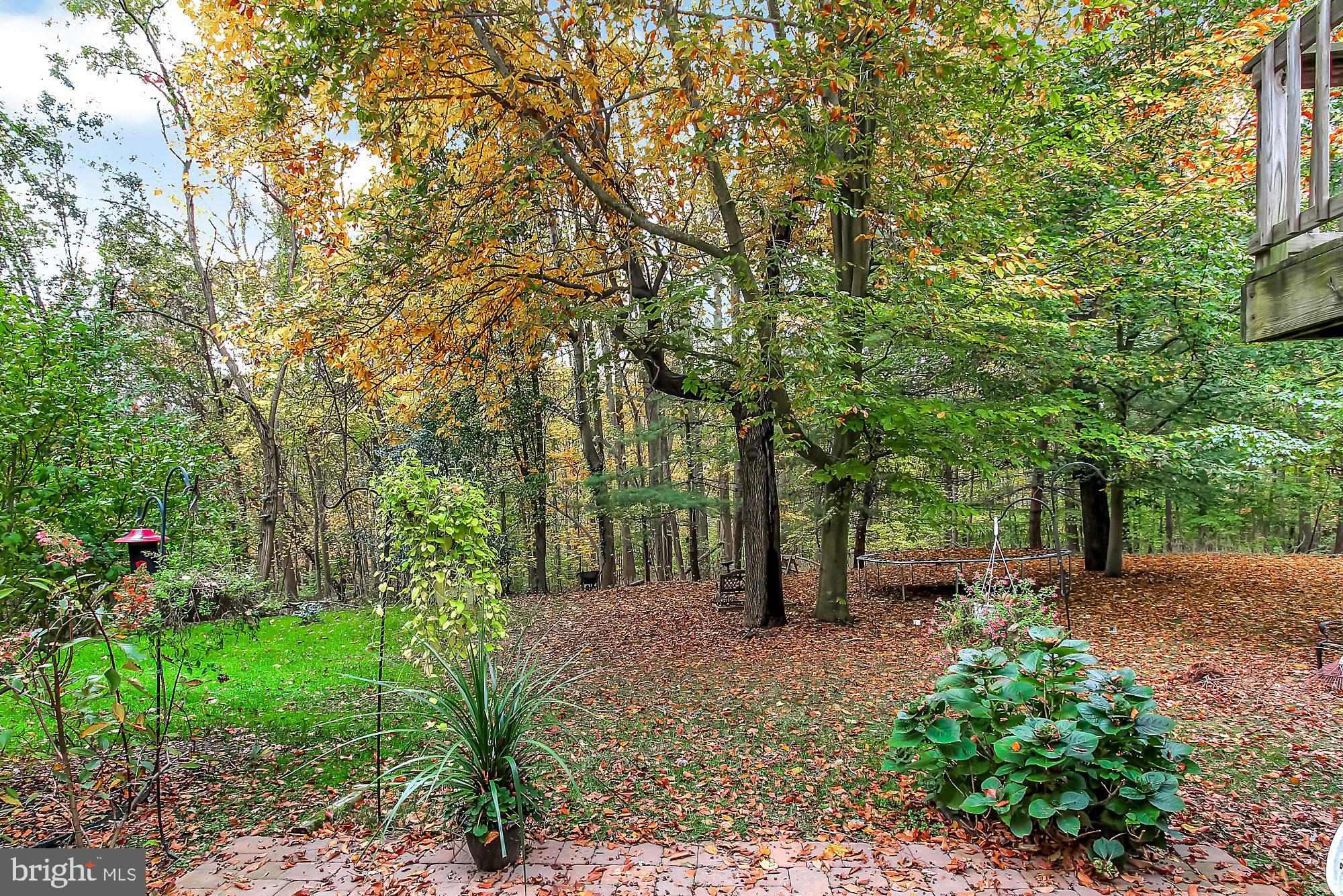 WHITE OAK - Residential