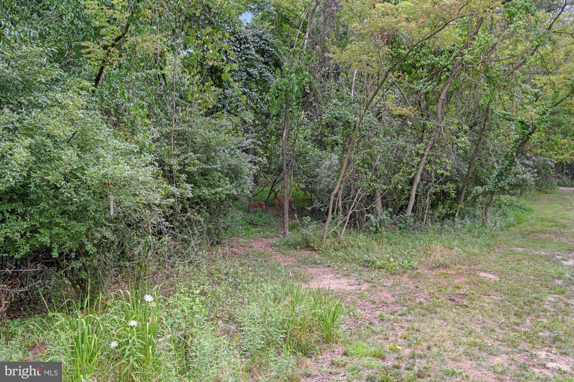 TIMBER VIEW AT WAVERLY - Residential