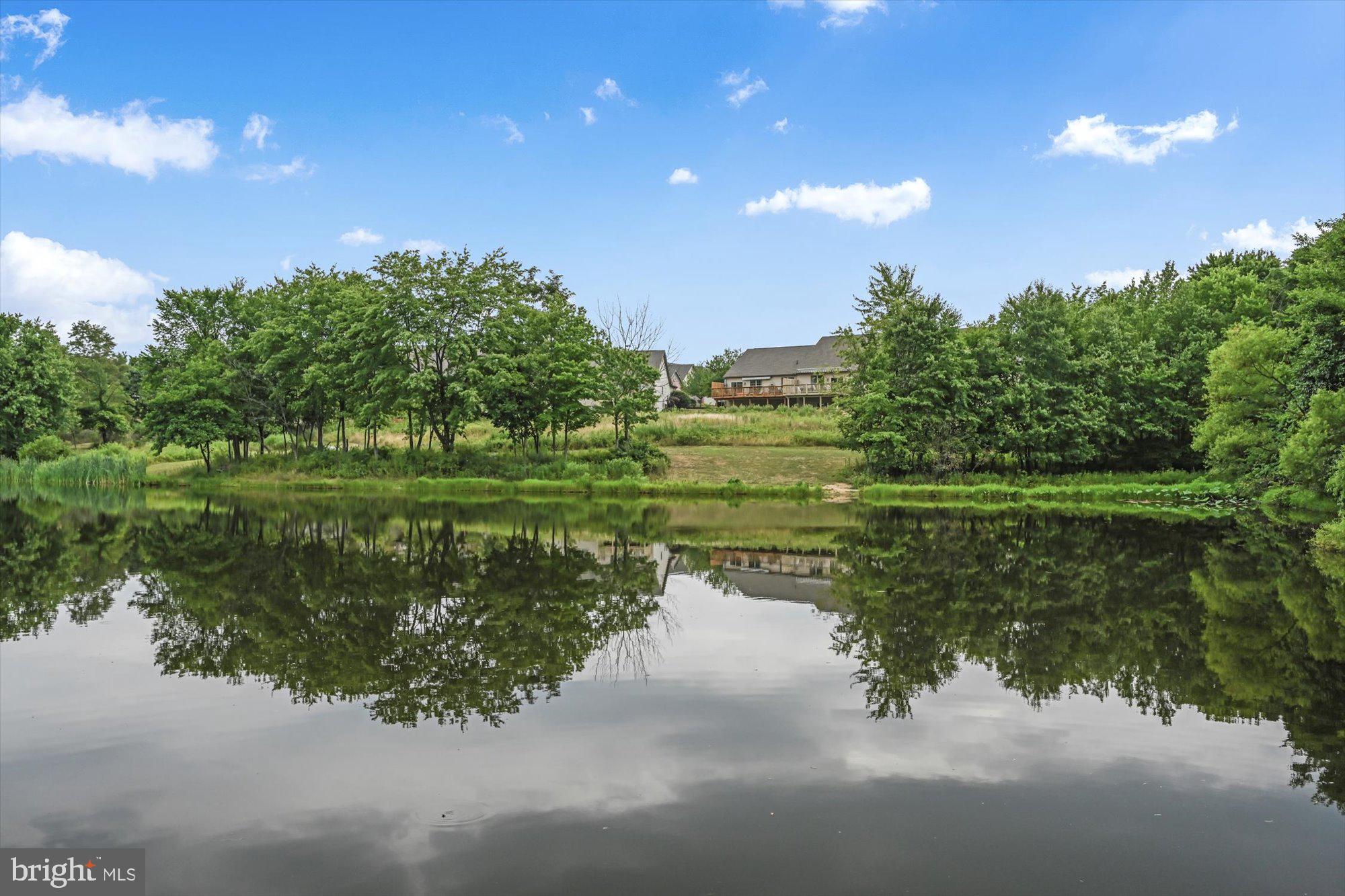 TIMBER VIEW AT WAVERLY - Residential