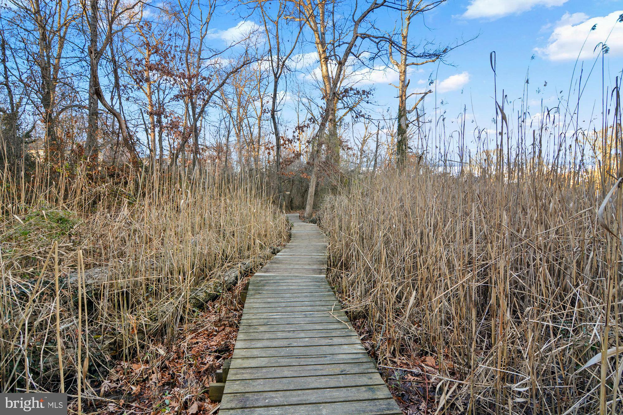 WATERS EDGE - Residential