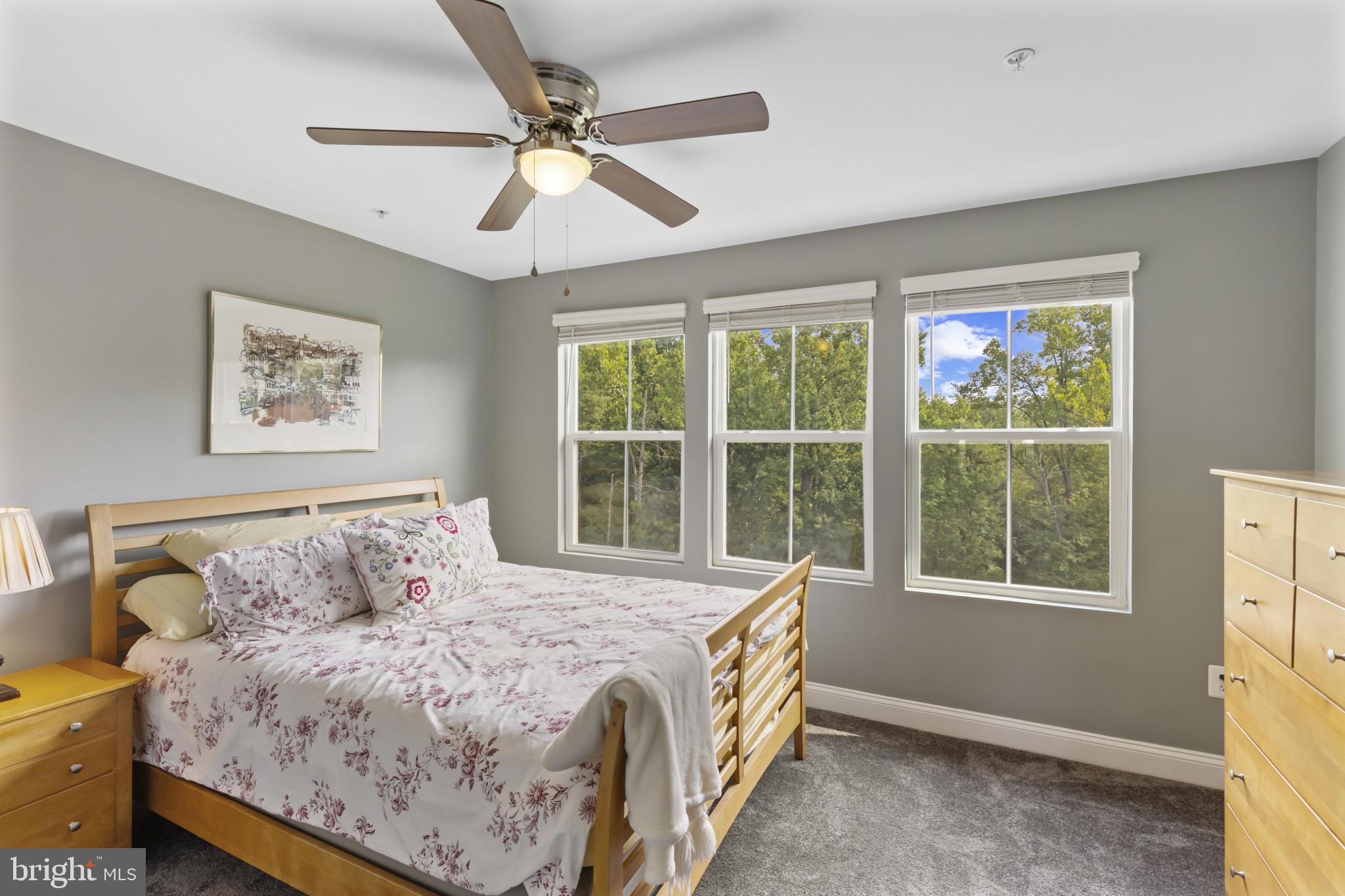 OXFORD SQUARE - Residential