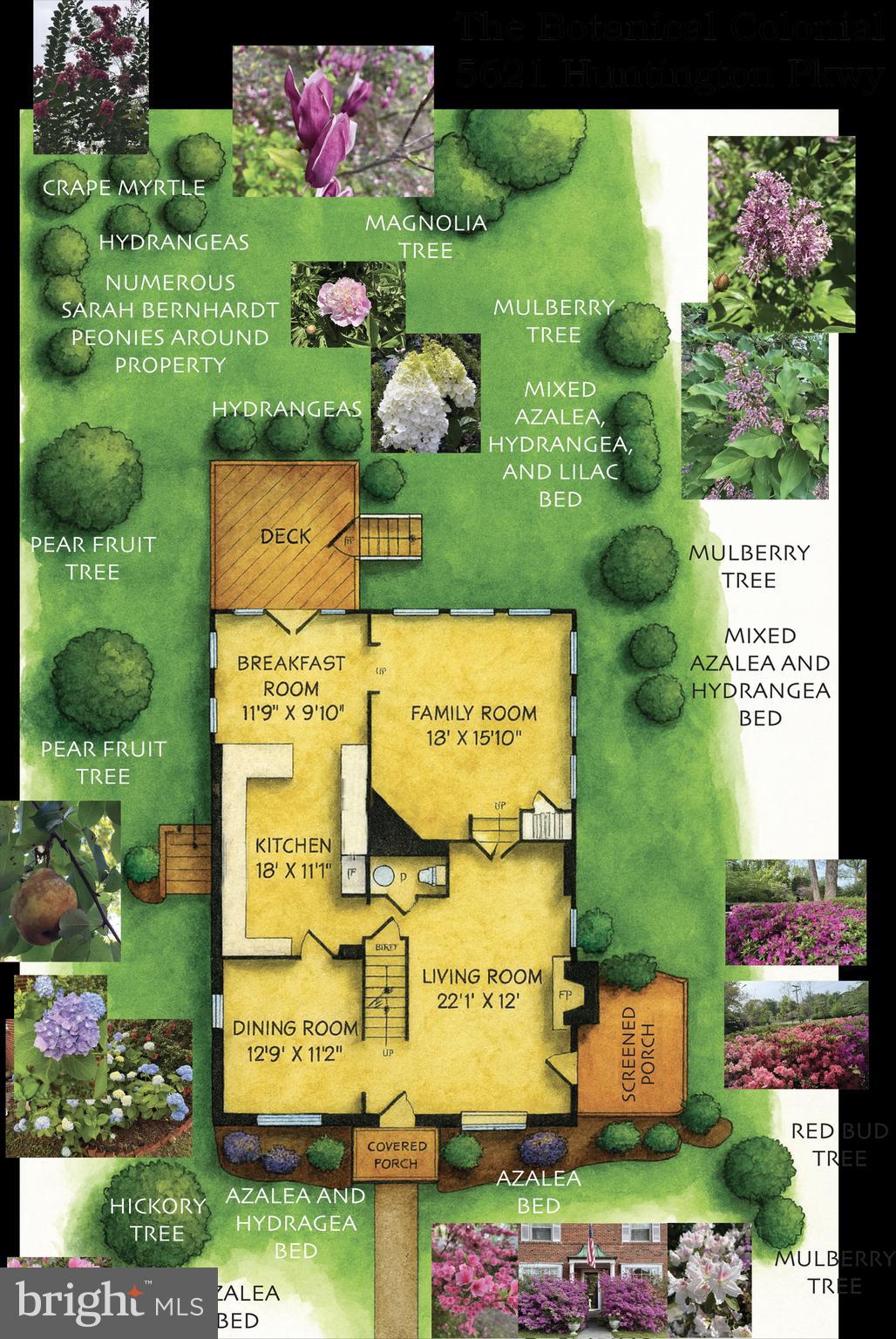 GREENWICH FOREST - Residential