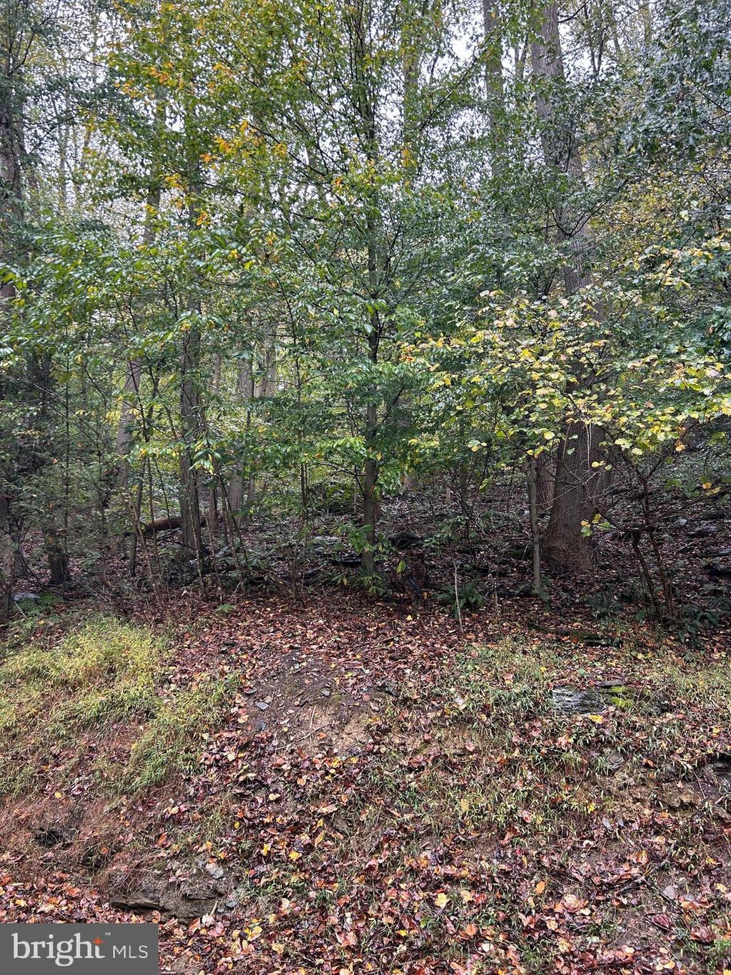 Photo of 0 Pequea Boulevard, CONESTOGA, PA 17516 (MLS # PALA2077958)