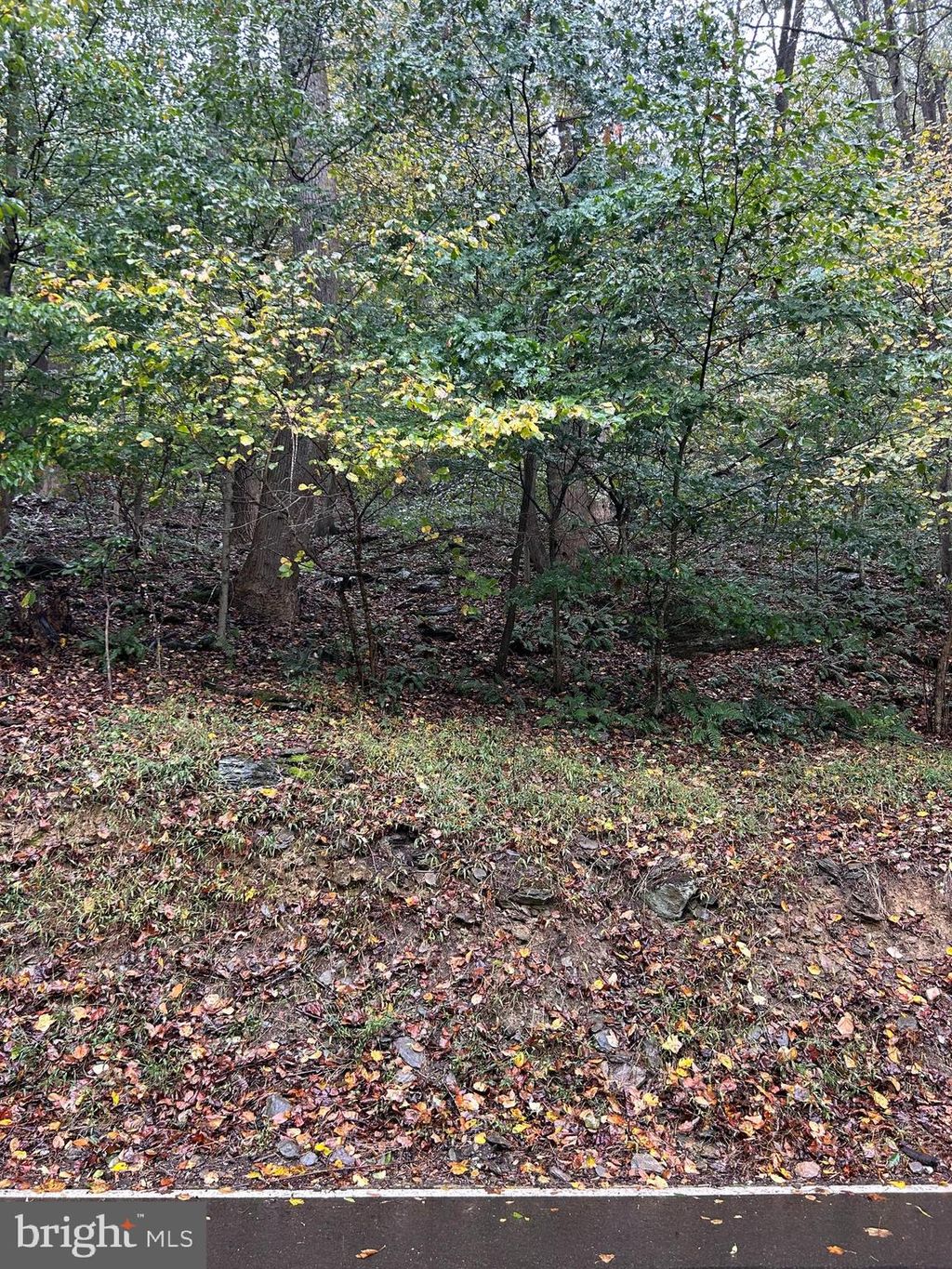 Photo of 0 Pequea Boulevard, CONESTOGA, PA 17516 (MLS # PALA2077958)