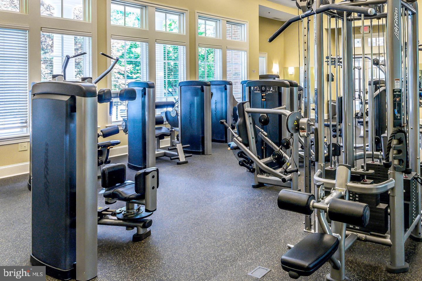 MAPLE LAWN - Residential Lease