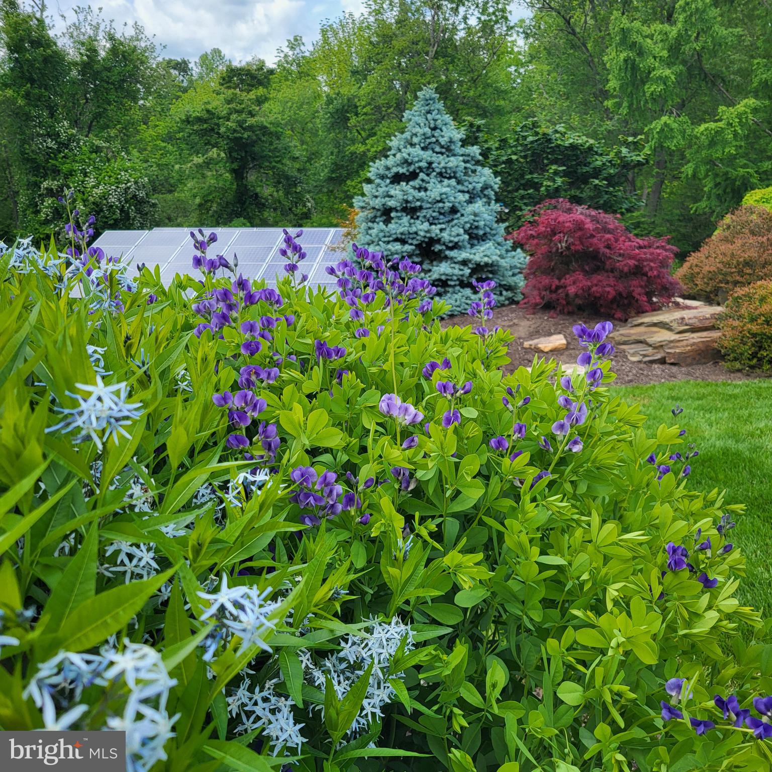 WELLINGTON HUNT - Residential
