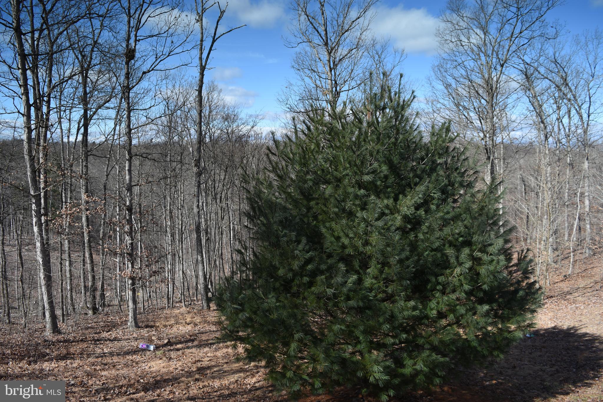 OAK RIDGE - Residential