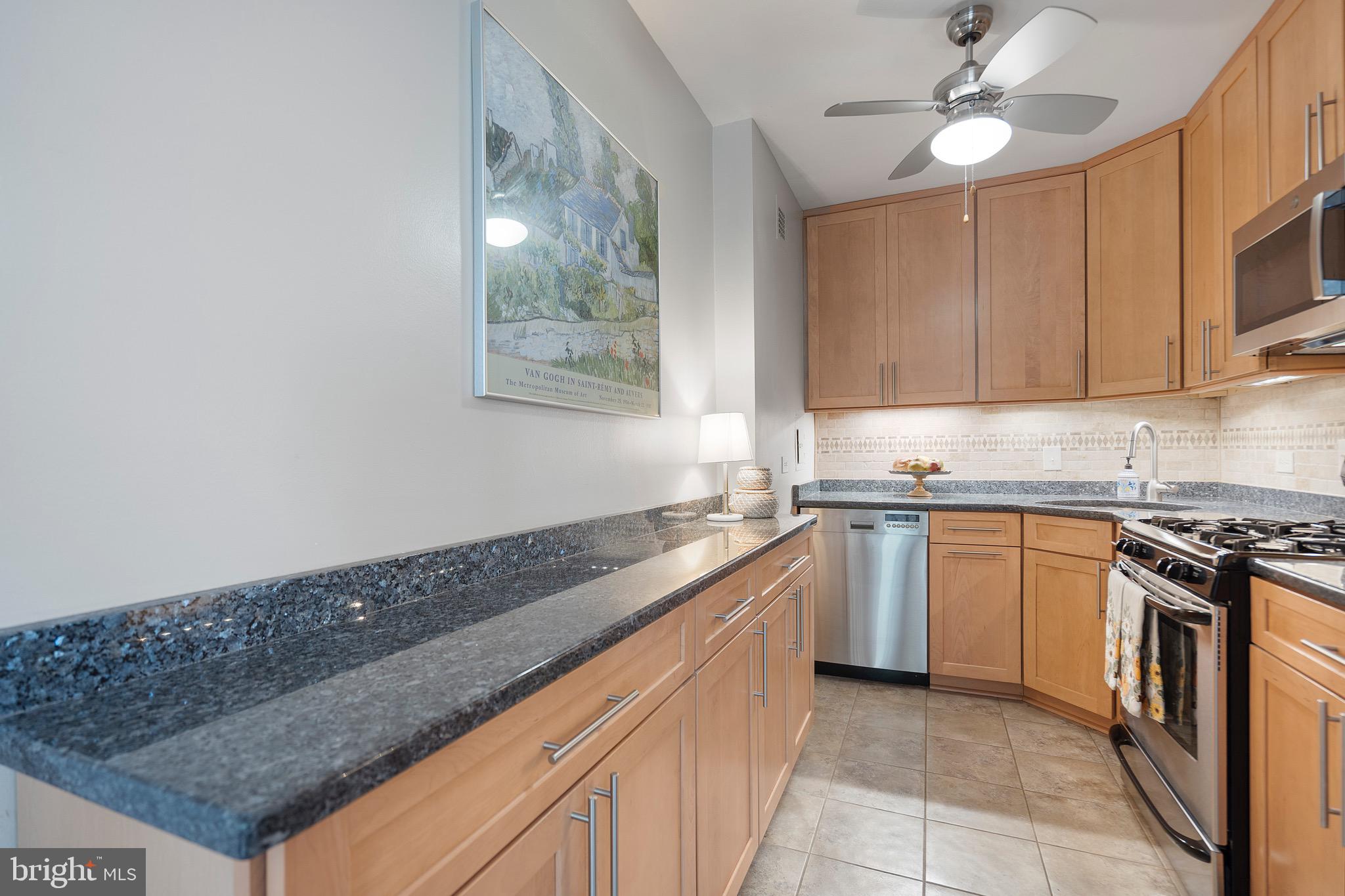 LYON VILLAGE - Residential