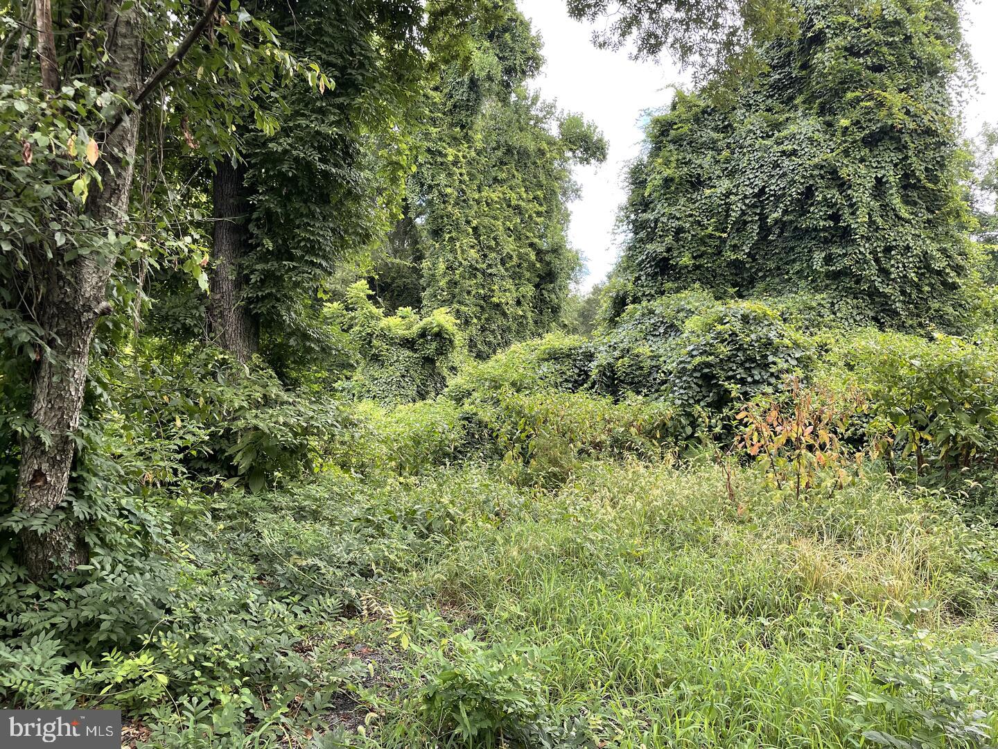 ELVATON HEIGHTS - Land