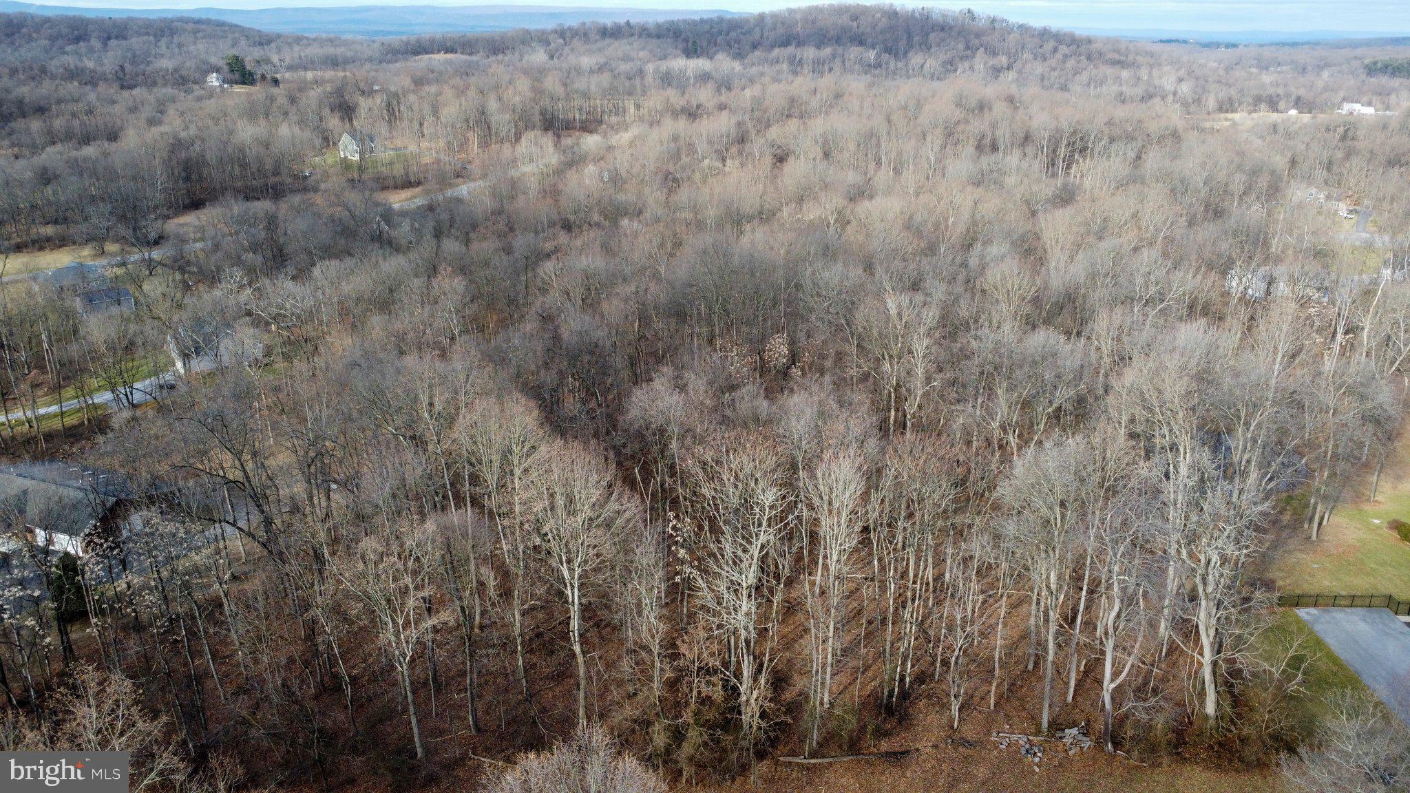 CROSSINGS ON THE POTOMAC - Land