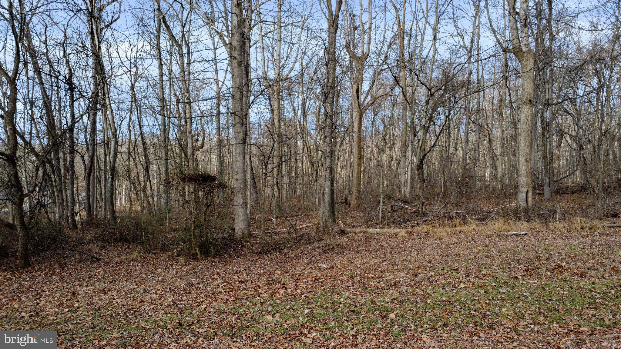 CROSSINGS ON THE POTOMAC - Land