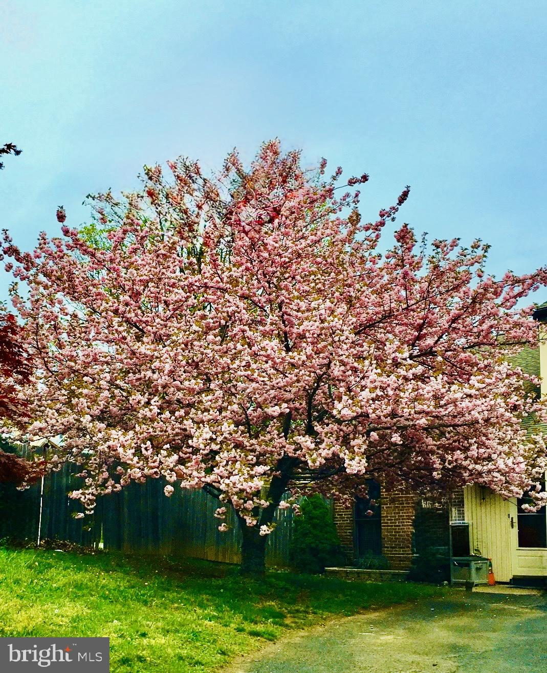 SAW MILL VALLEY - Residential