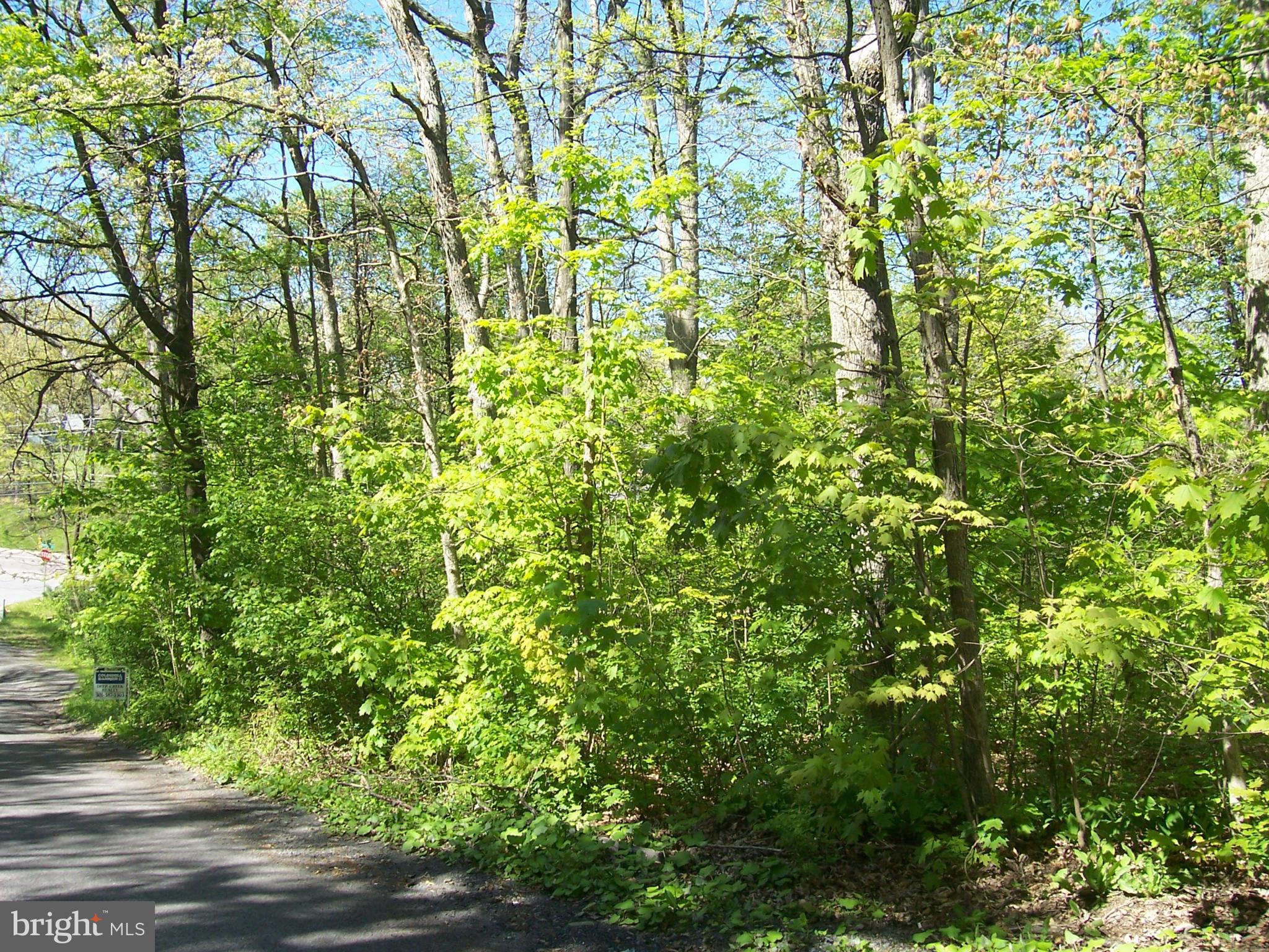 MOUNTAIN LAKE PARK - Land