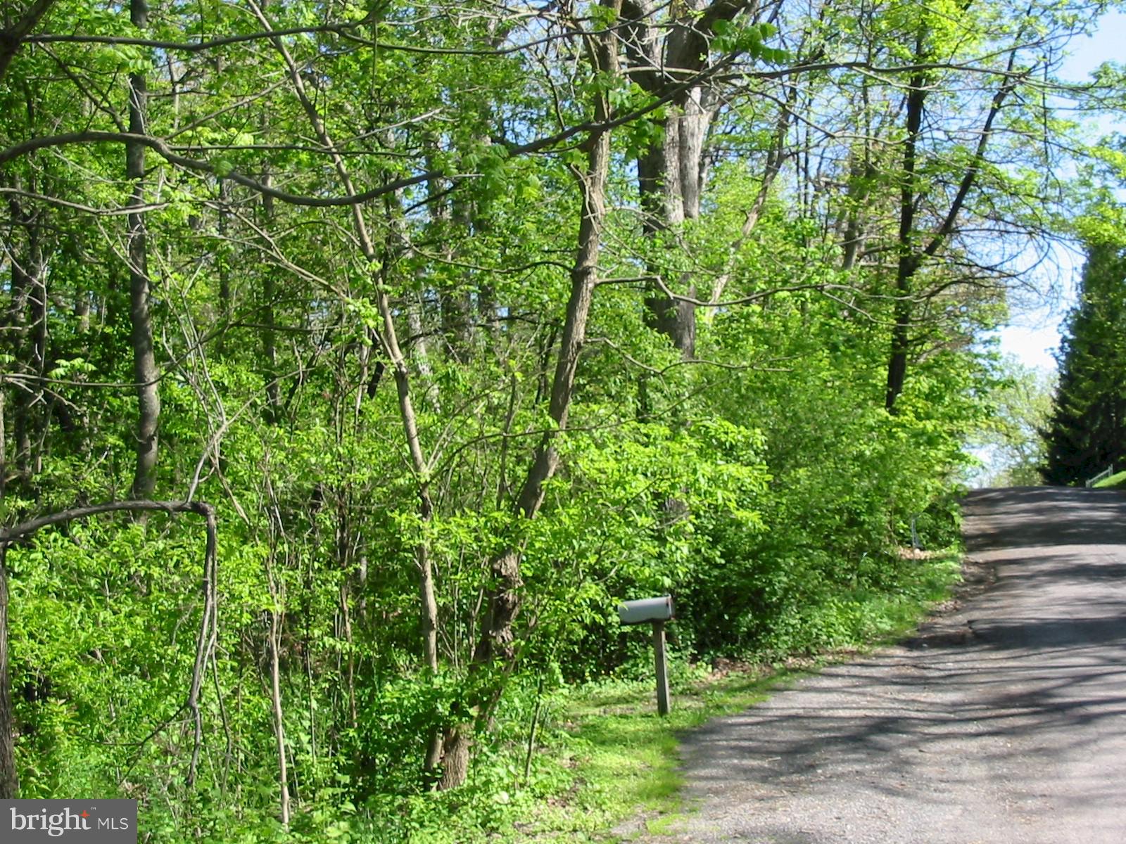 MOUNTAIN LAKE PARK - Land