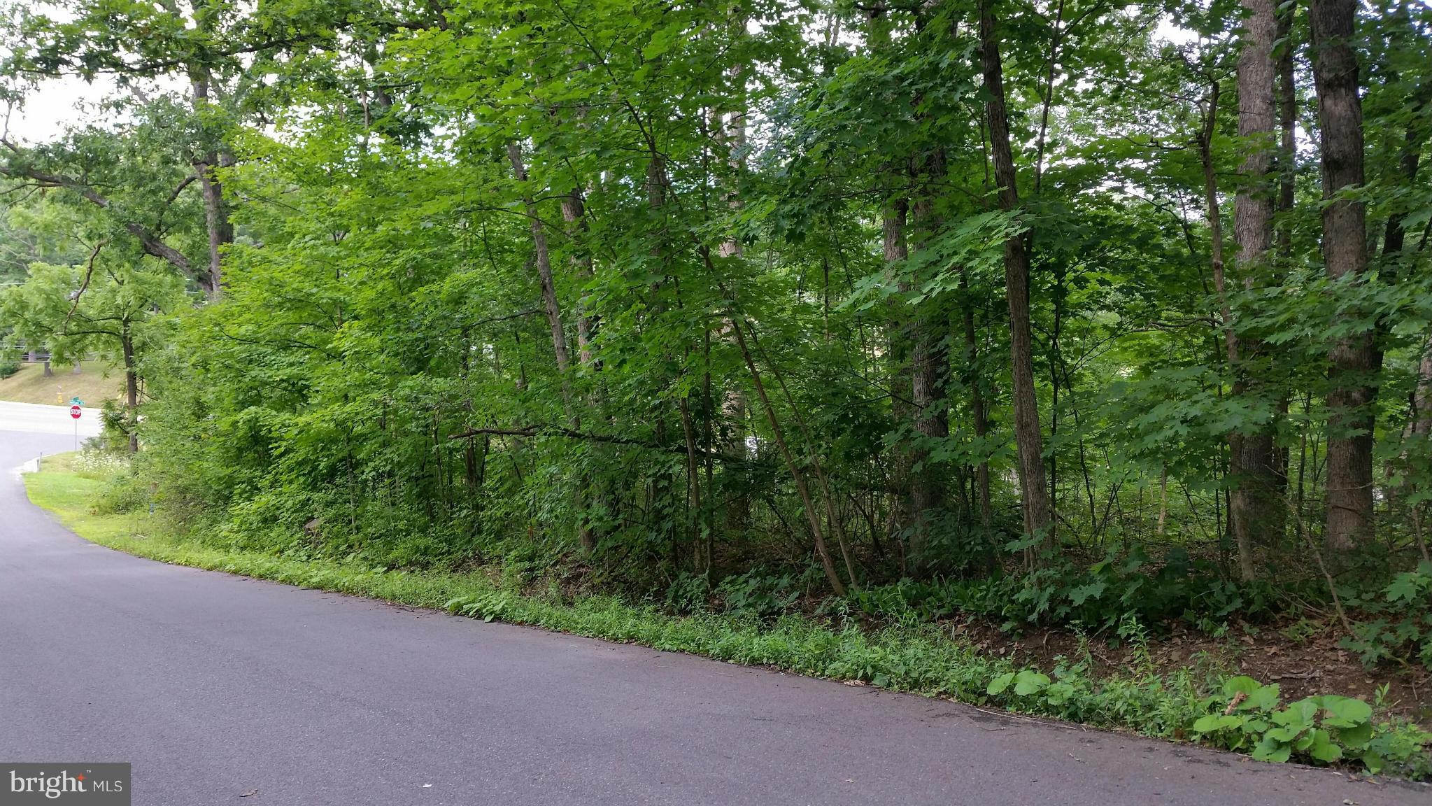 MOUNTAIN LAKE PARK - Land