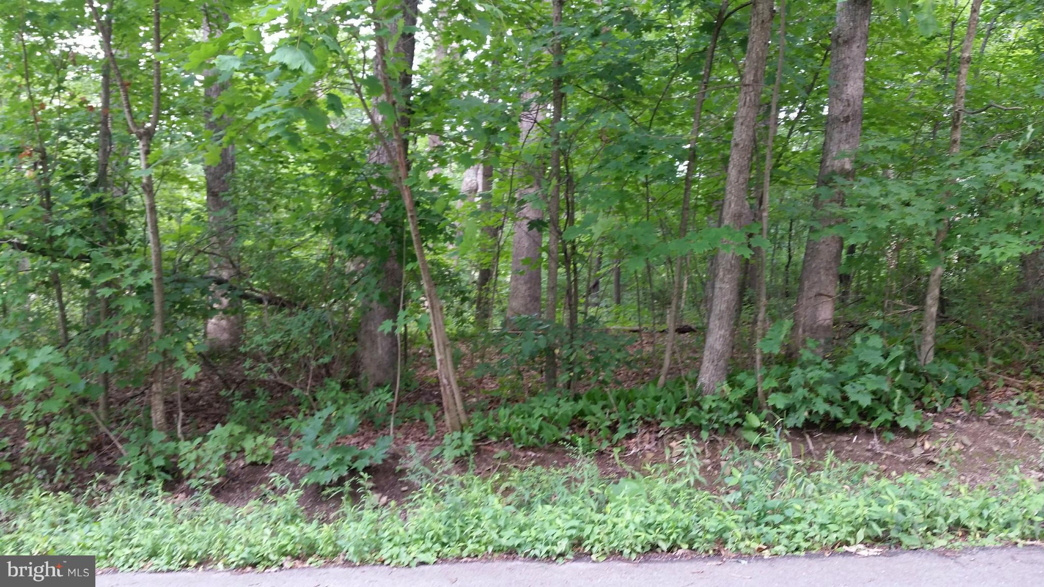 MOUNTAIN LAKE PARK - Land